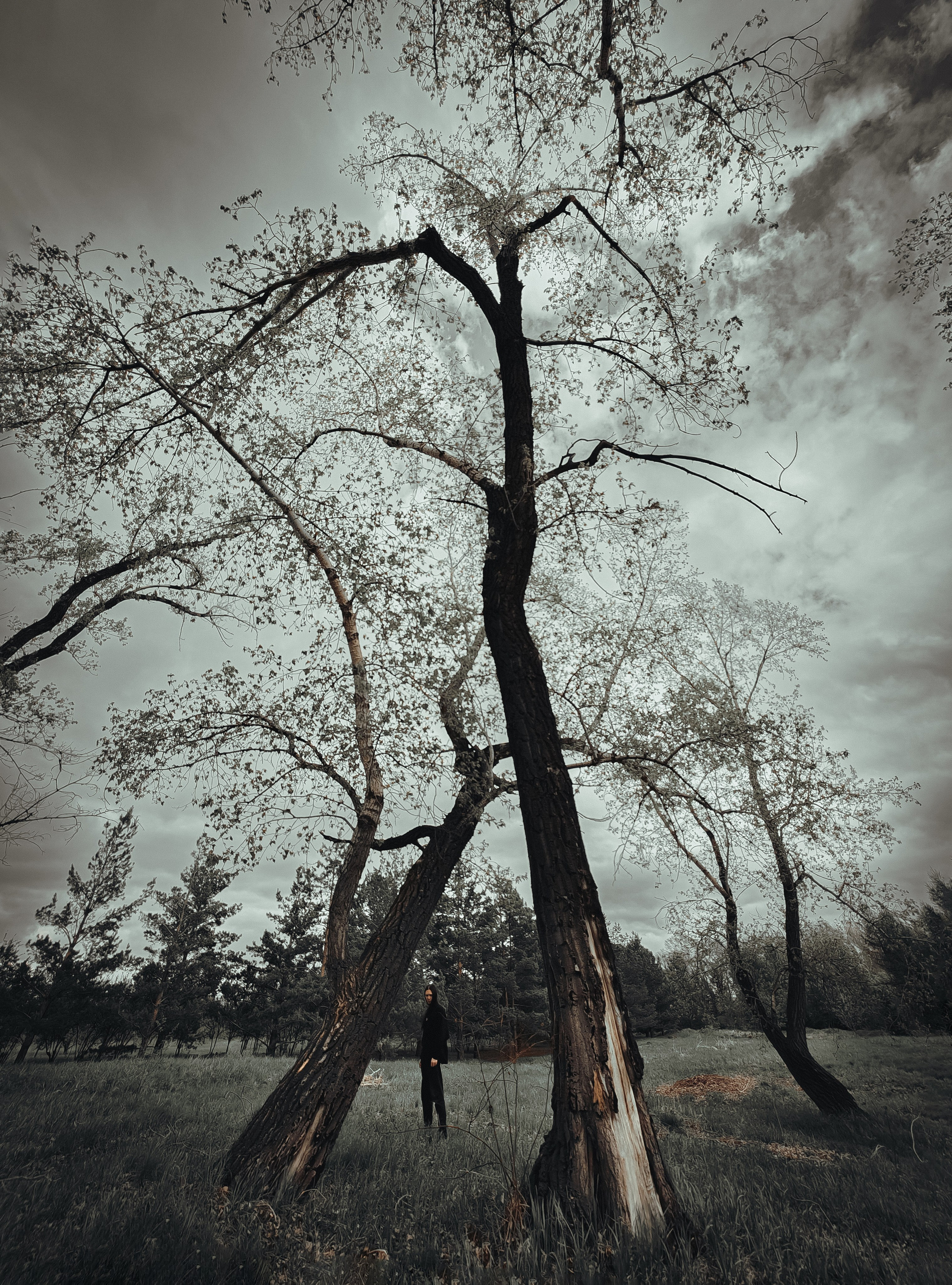 Ренат. Коллажная съёмка. Фотограф Регина Крикунова г. Красноярск