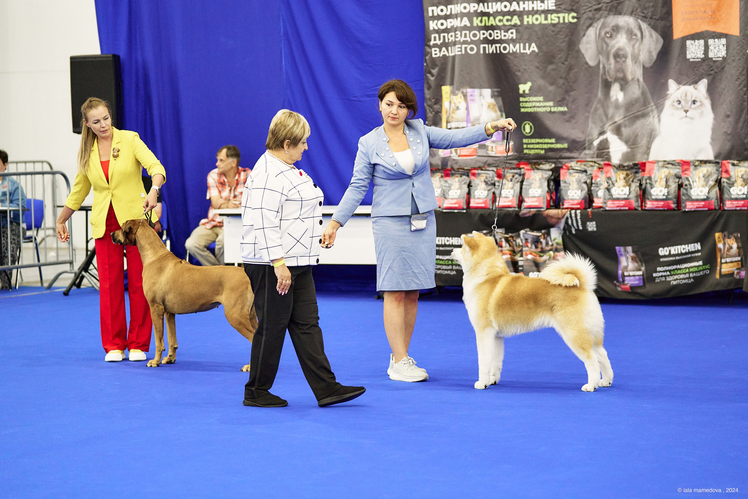 20.07.2024 | «БАЛТИК-ШОУ-1-2024»