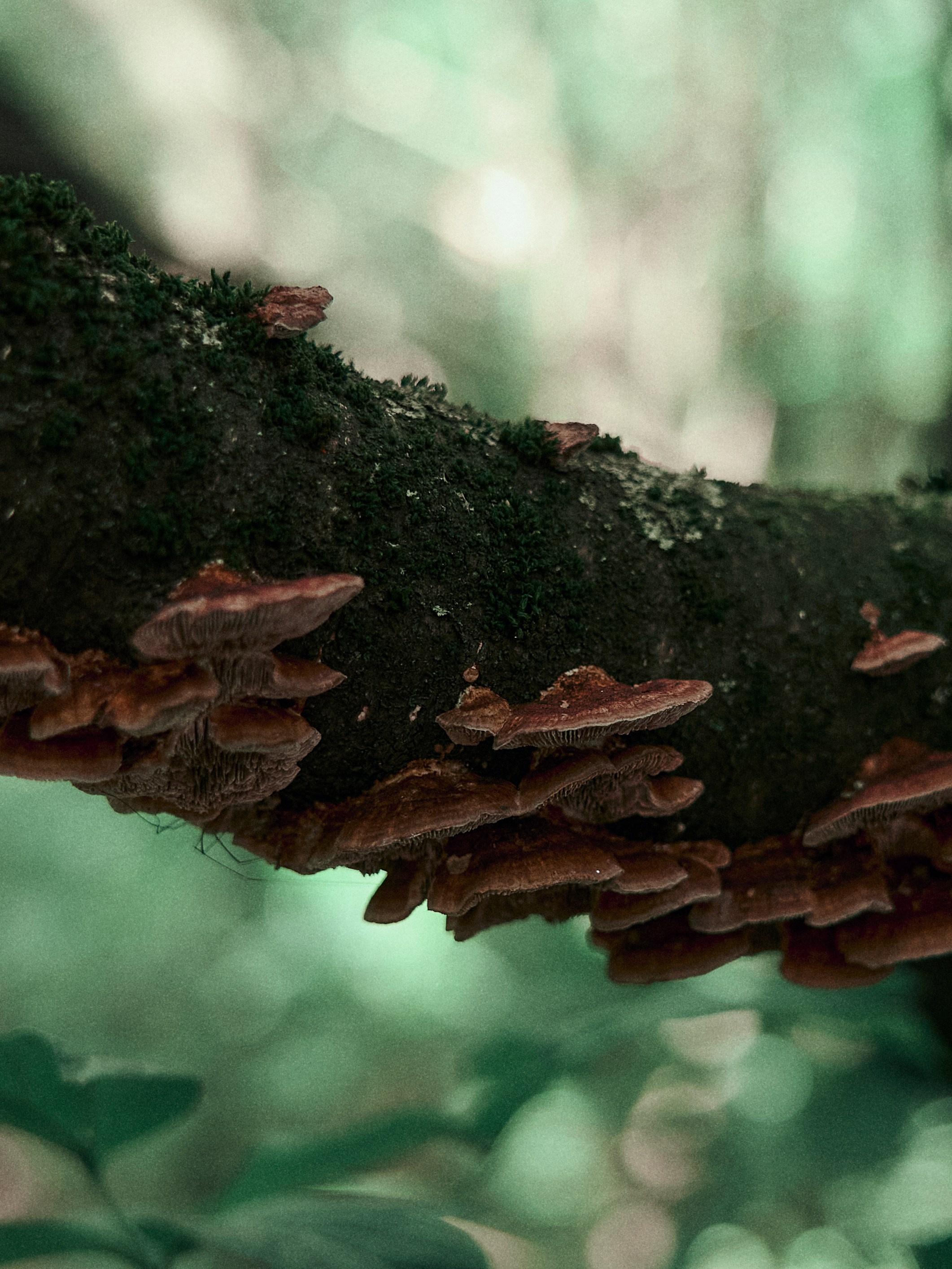 Street. Портретный фотограф в Москве