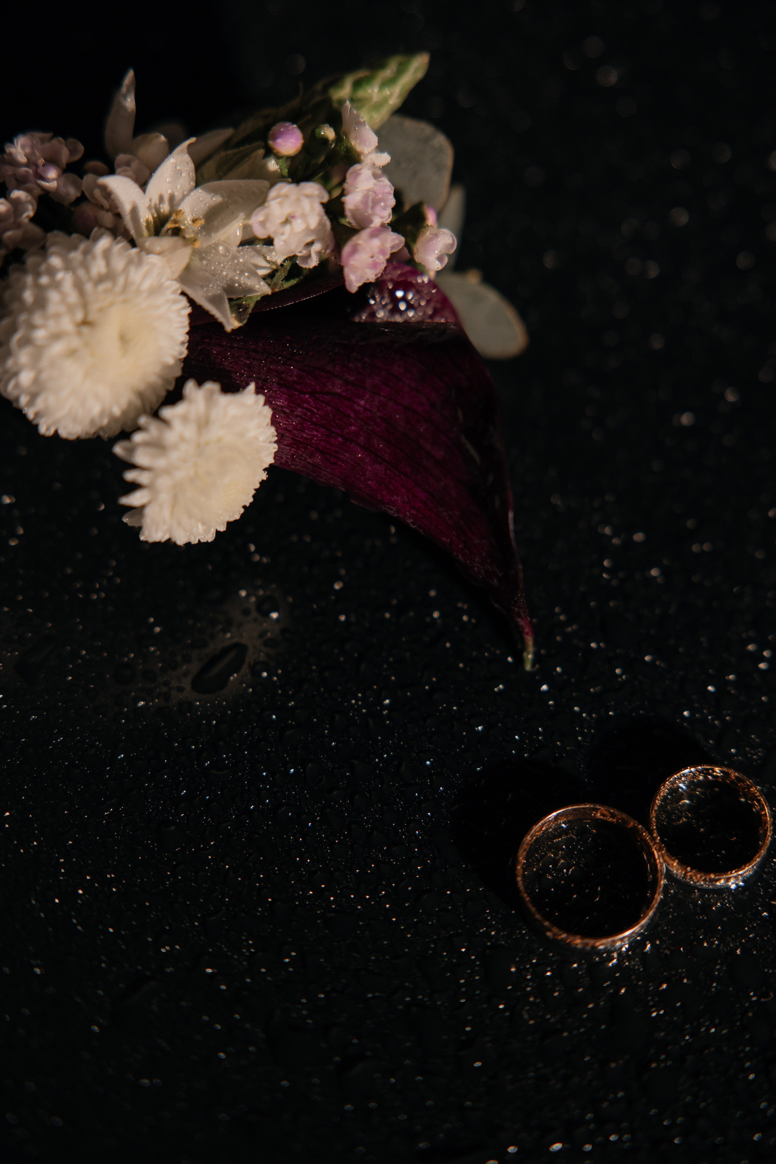 Wedding Day 26.04.25. Семейный фотограф Губкин/Старый Оскол