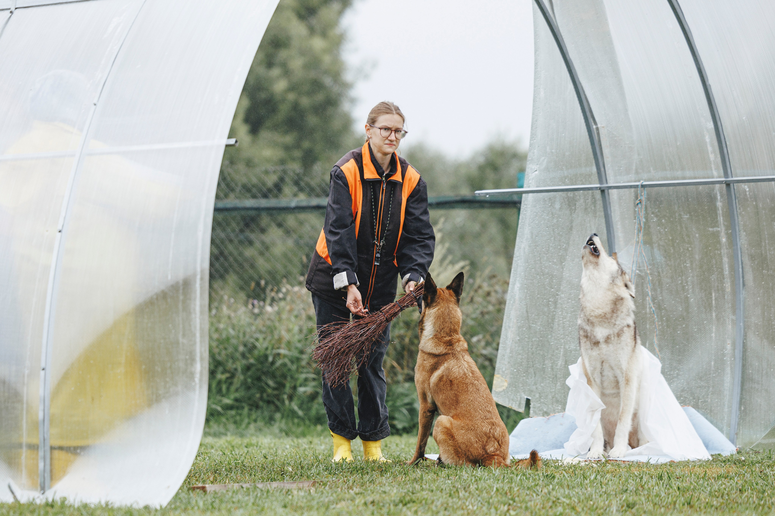 08.08.25-10.08.25 ЧР по мондьорингу г. Вологда. Фотограф-анималист Анна Маринич