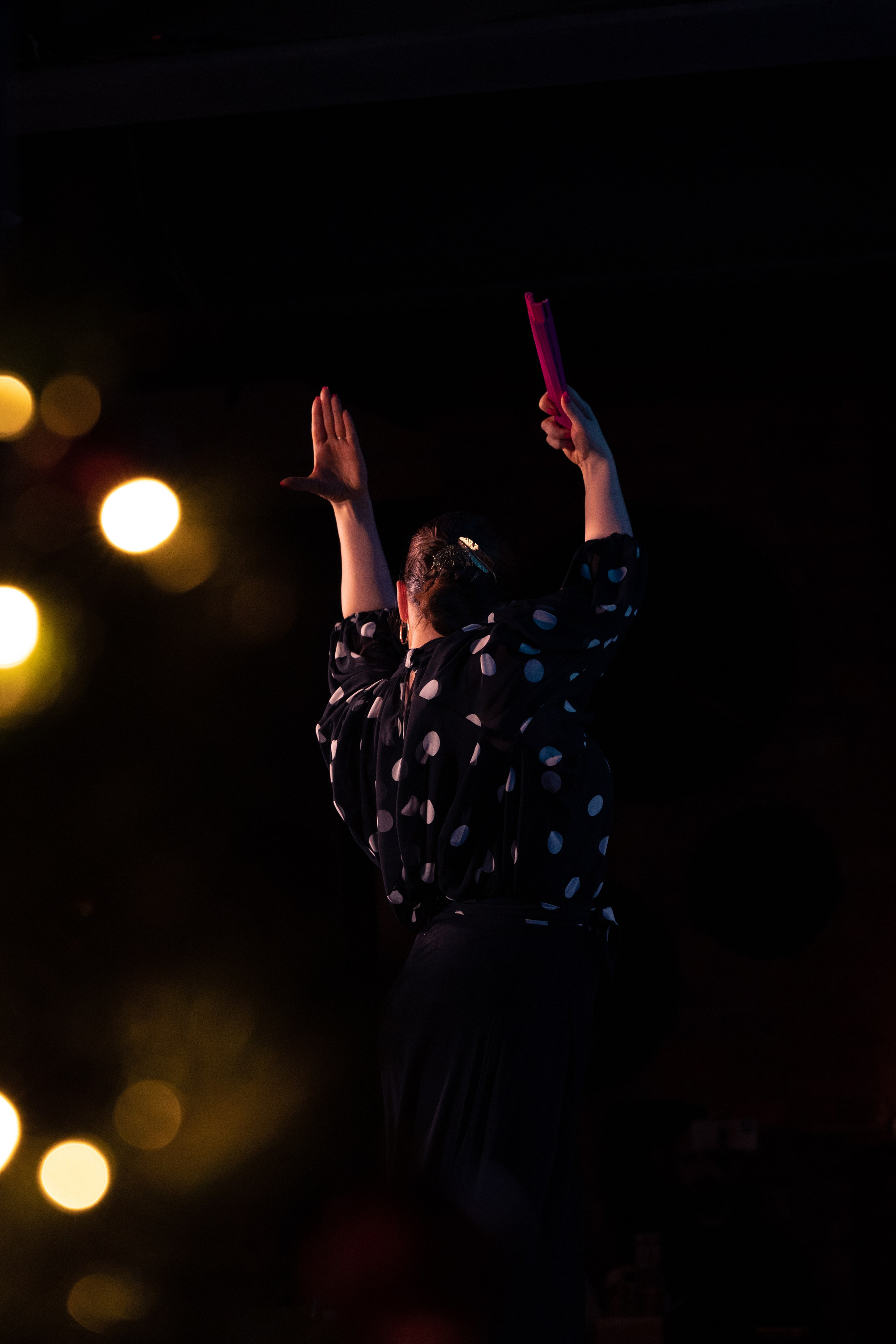 Flamenco 02.01.2025. Индивидуальные съемки, портретный фотограф