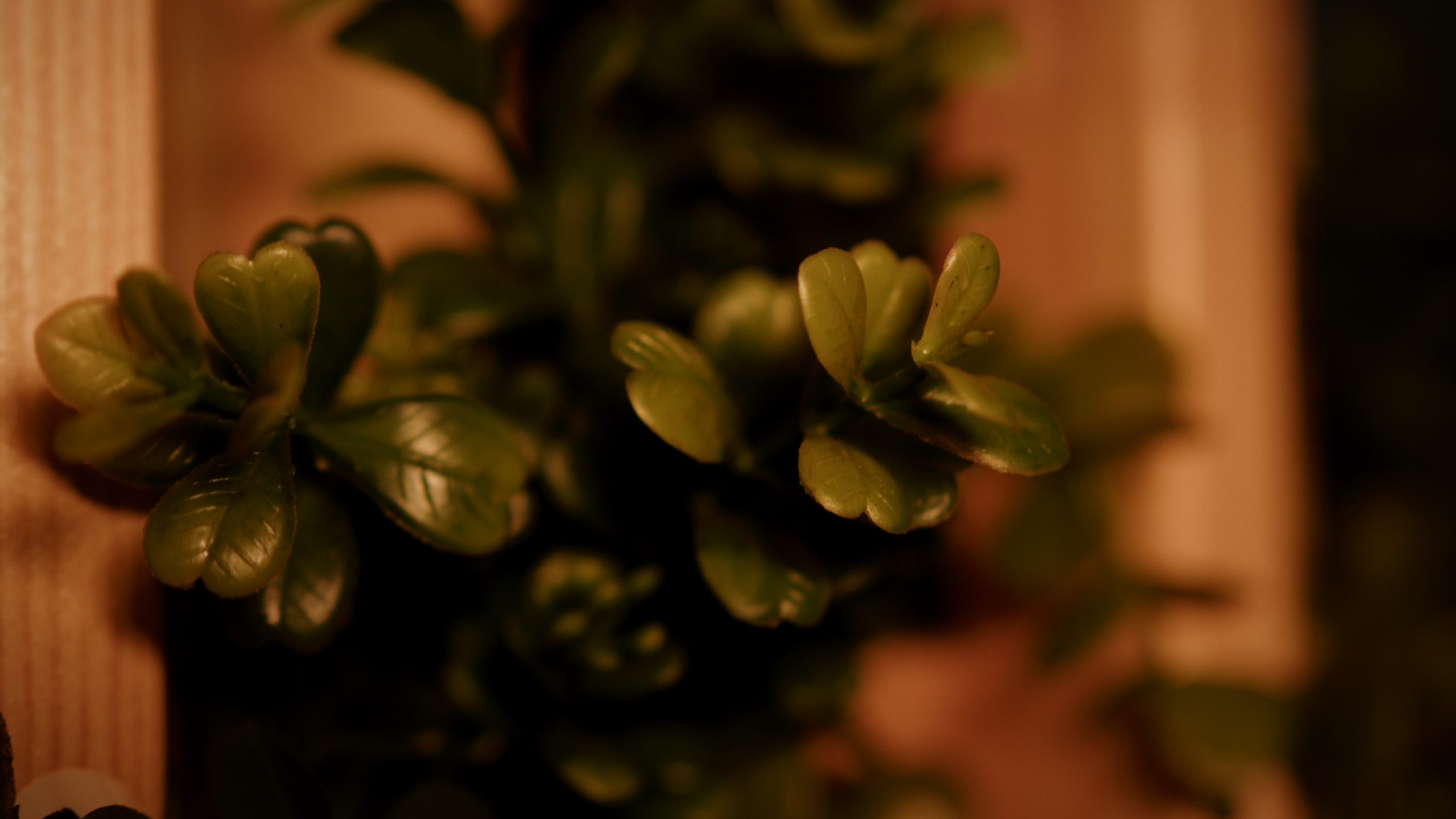 «Lounge Bar». Мальцев Кирилл — оператор, монтажёр в Санкт-Петербурге