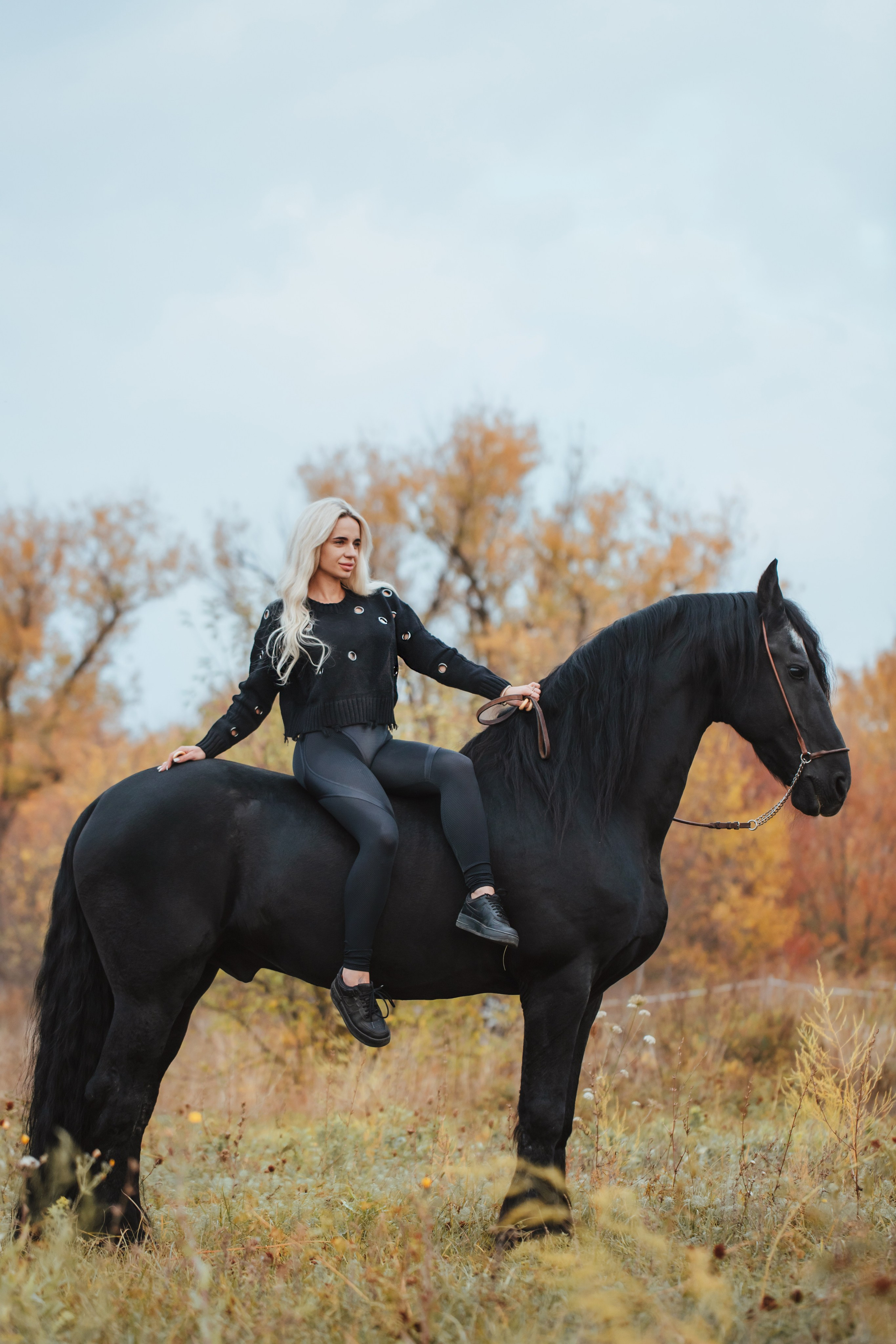 Фото с лошадьми. Обо мне