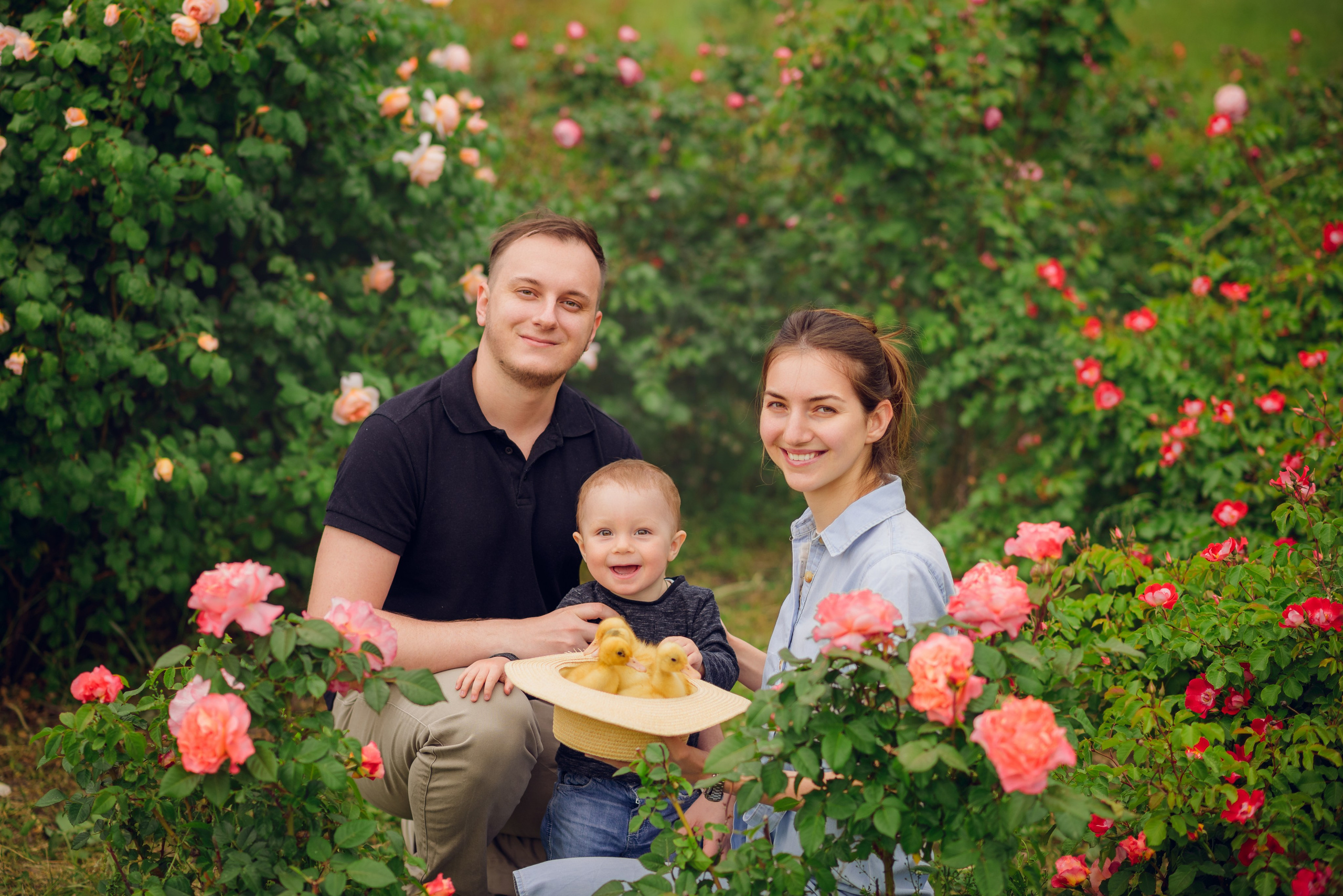 В розах. Семейный фотограф в Краснодаре