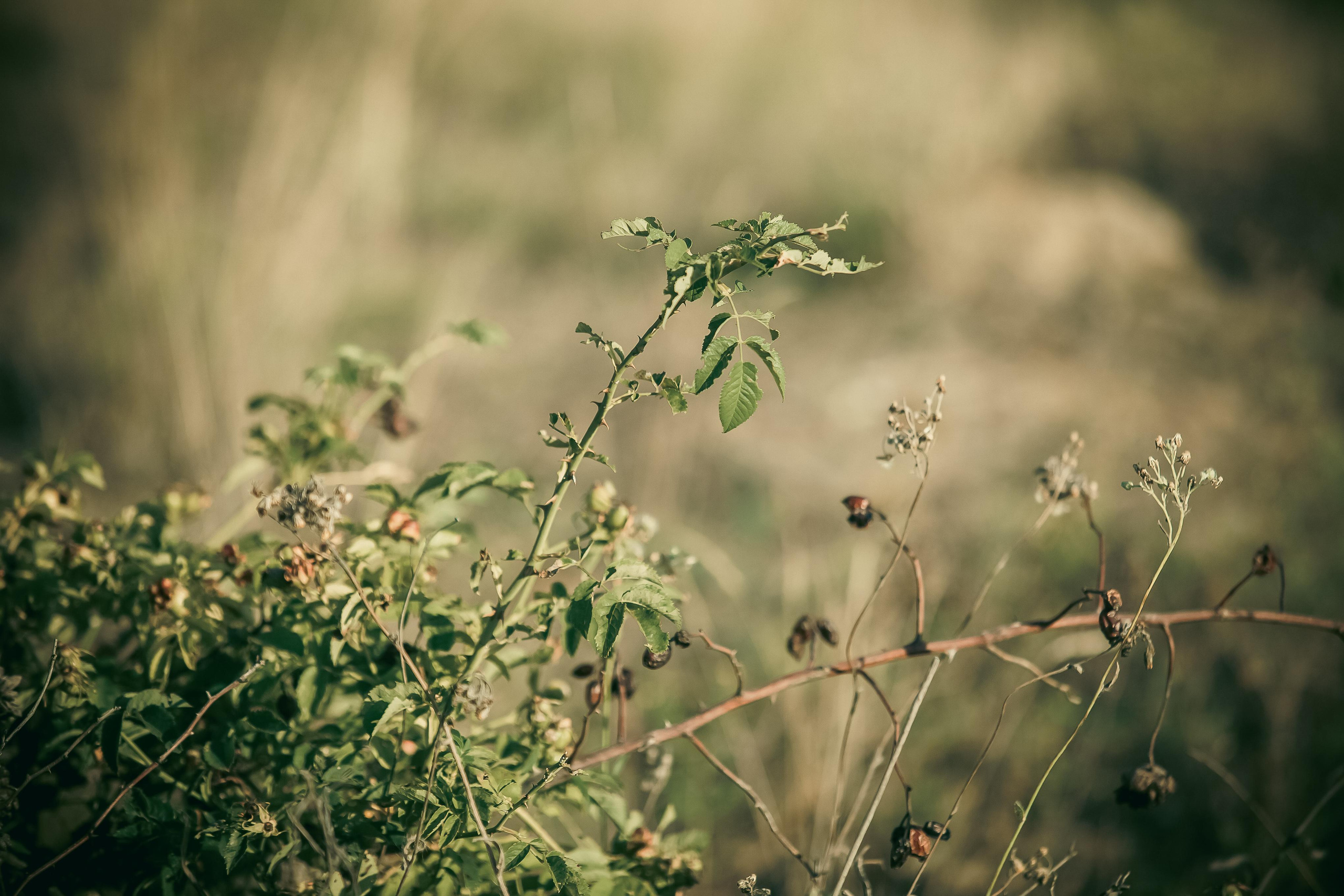 Маша + Миша. Летопись вашей жизни. Фотограф Игорь Иванов