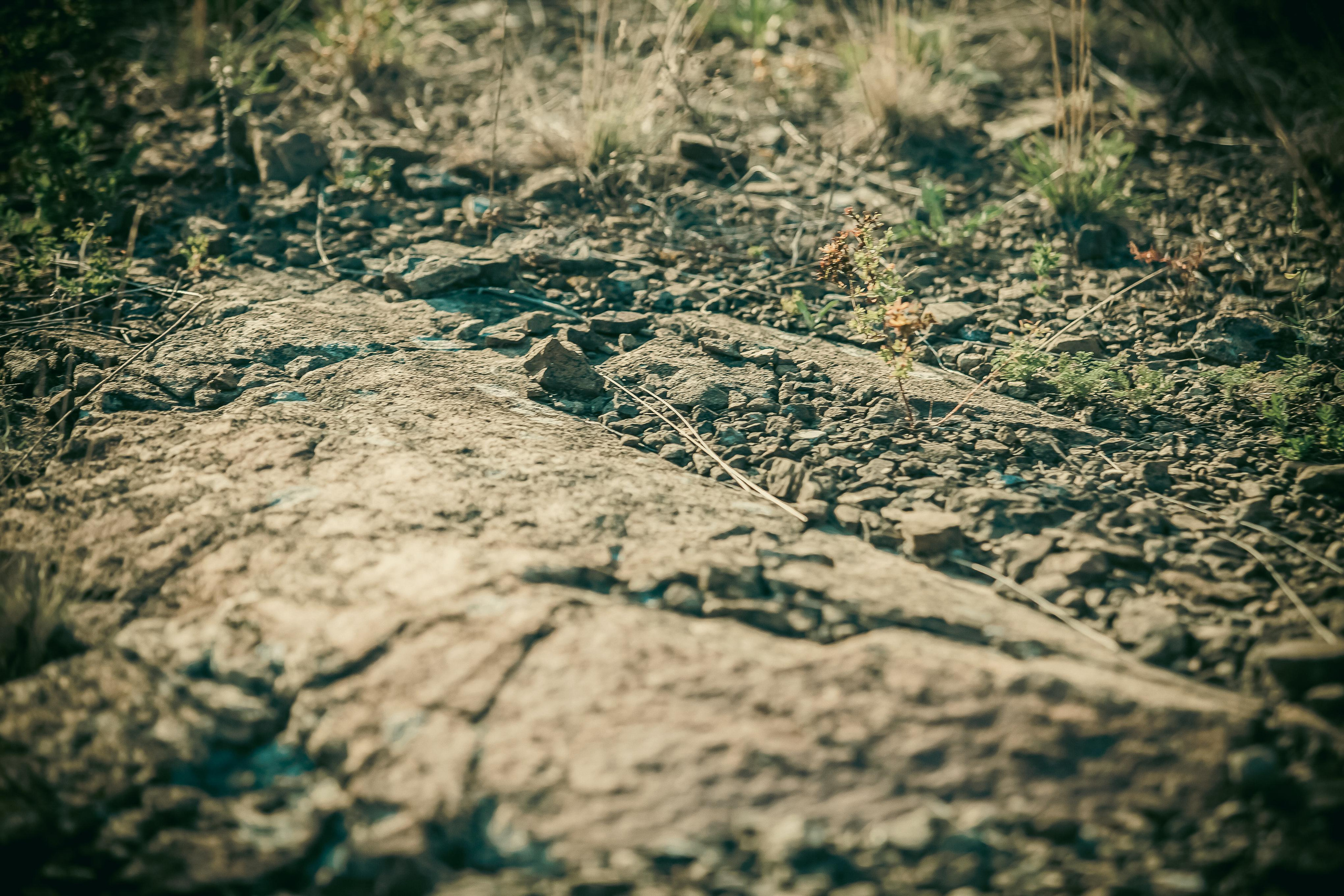 Маша + Миша. Летопись вашей жизни. Фотограф Игорь Иванов