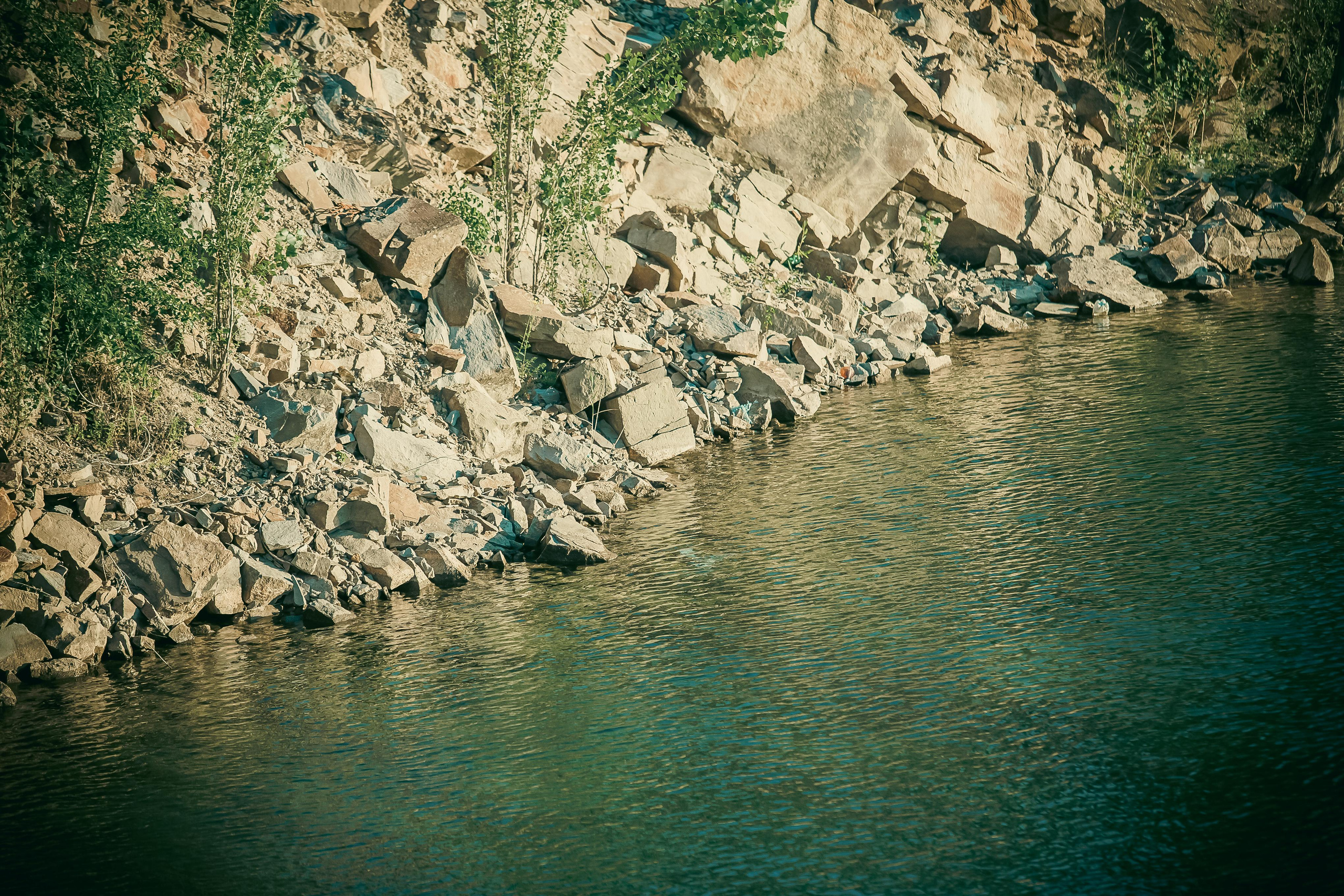 Маша + Миша. Летопись вашей жизни. Фотограф Игорь Иванов