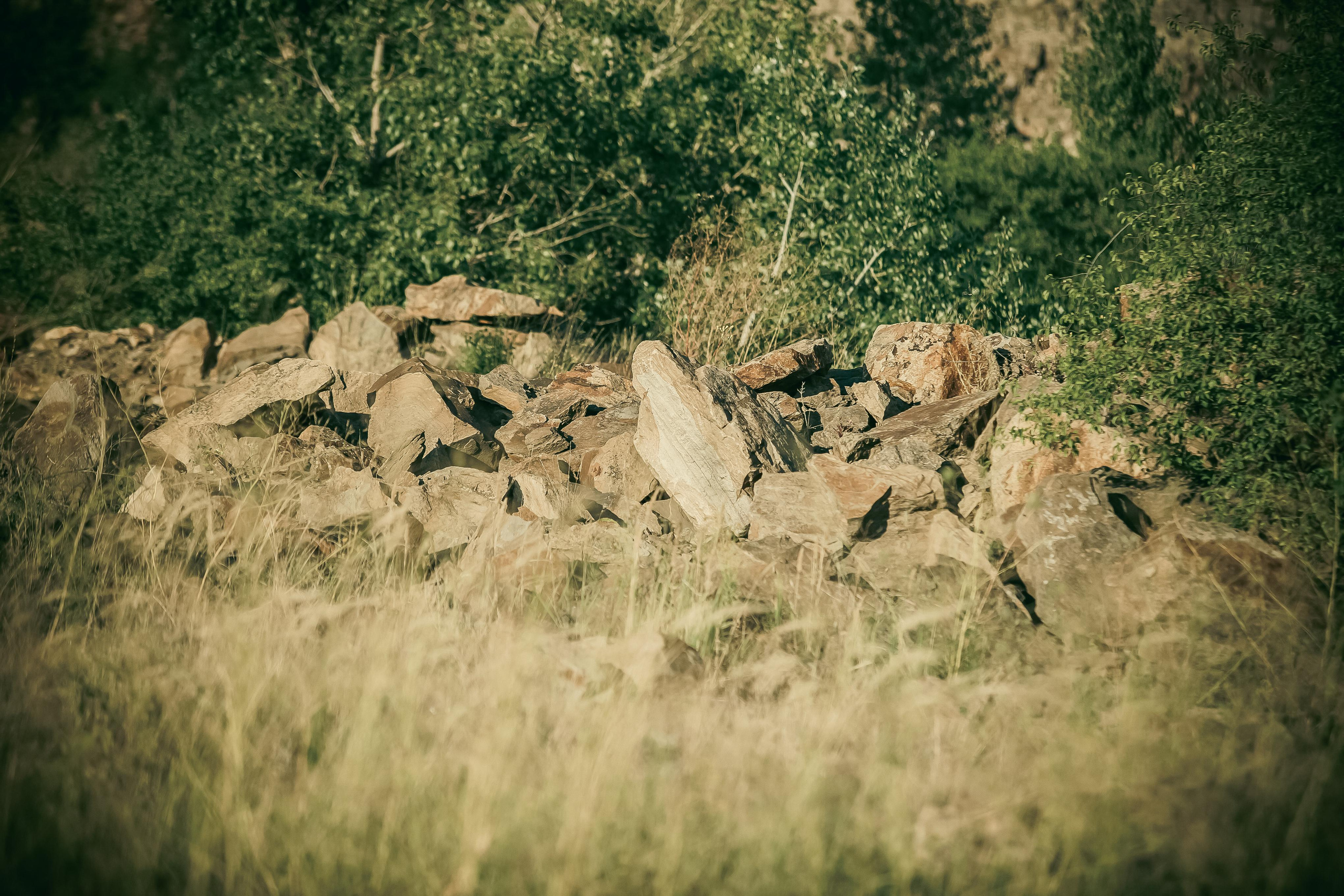 Маша + Миша. Летопись вашей жизни. Фотограф Игорь Иванов
