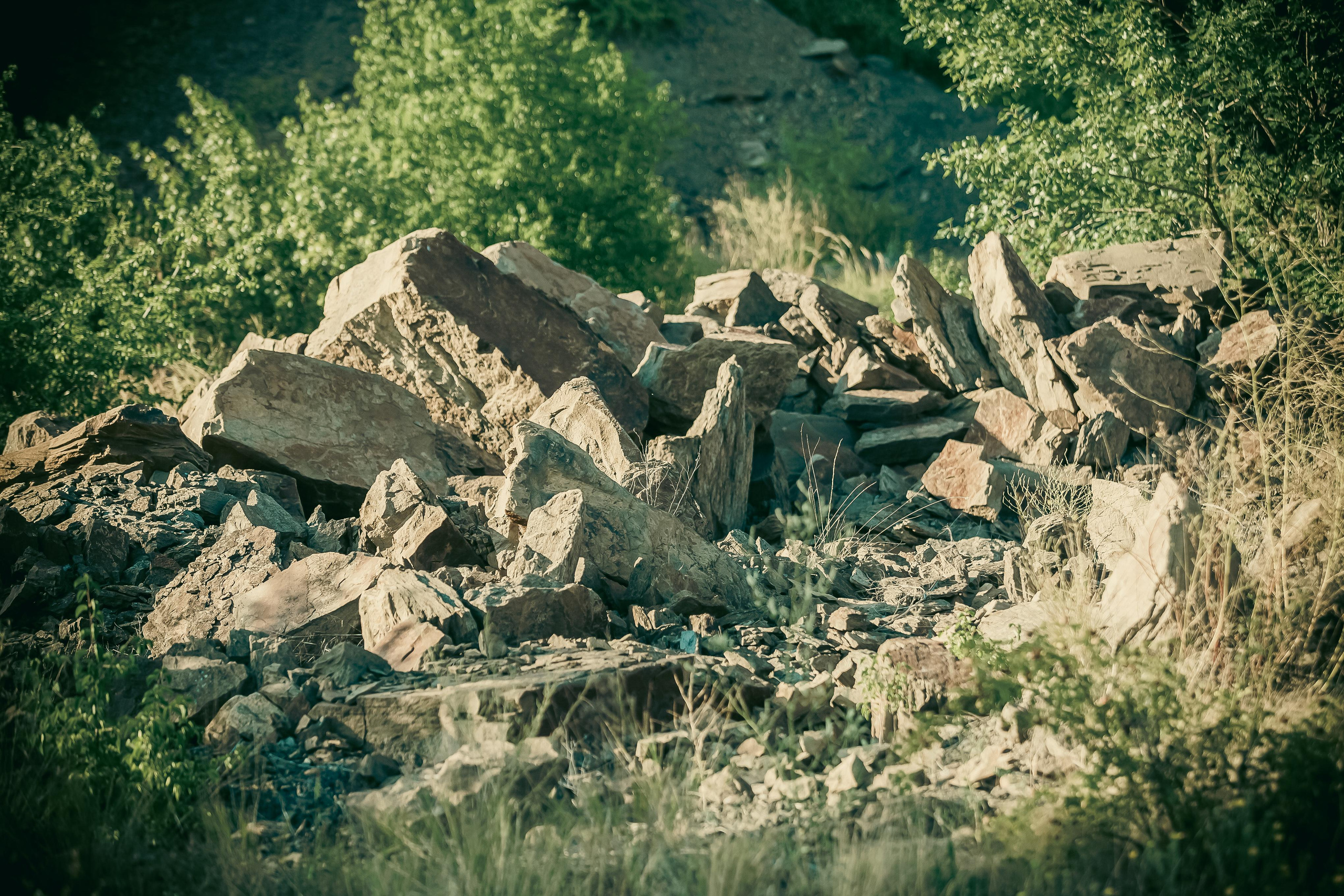 Маша + Миша. Летопись вашей жизни. Фотограф Игорь Иванов