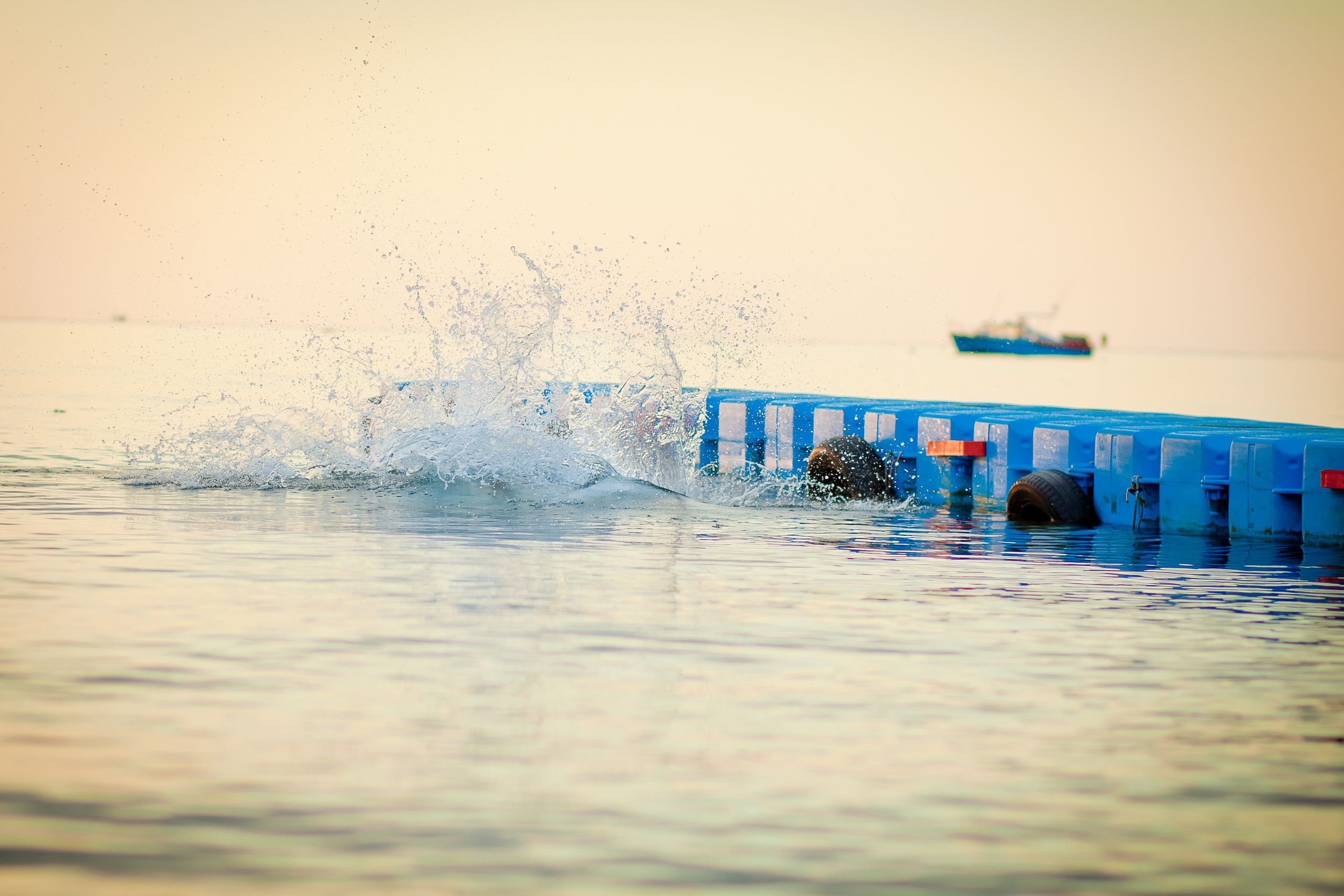 Анна + Антон. Летопись вашей жизни. Фотограф Игорь Иванов