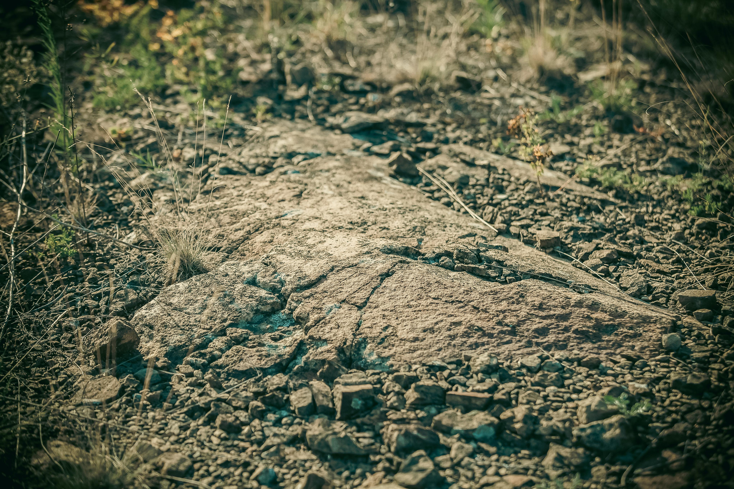 Маша + Миша. Летопись вашей жизни. Фотограф Игорь Иванов