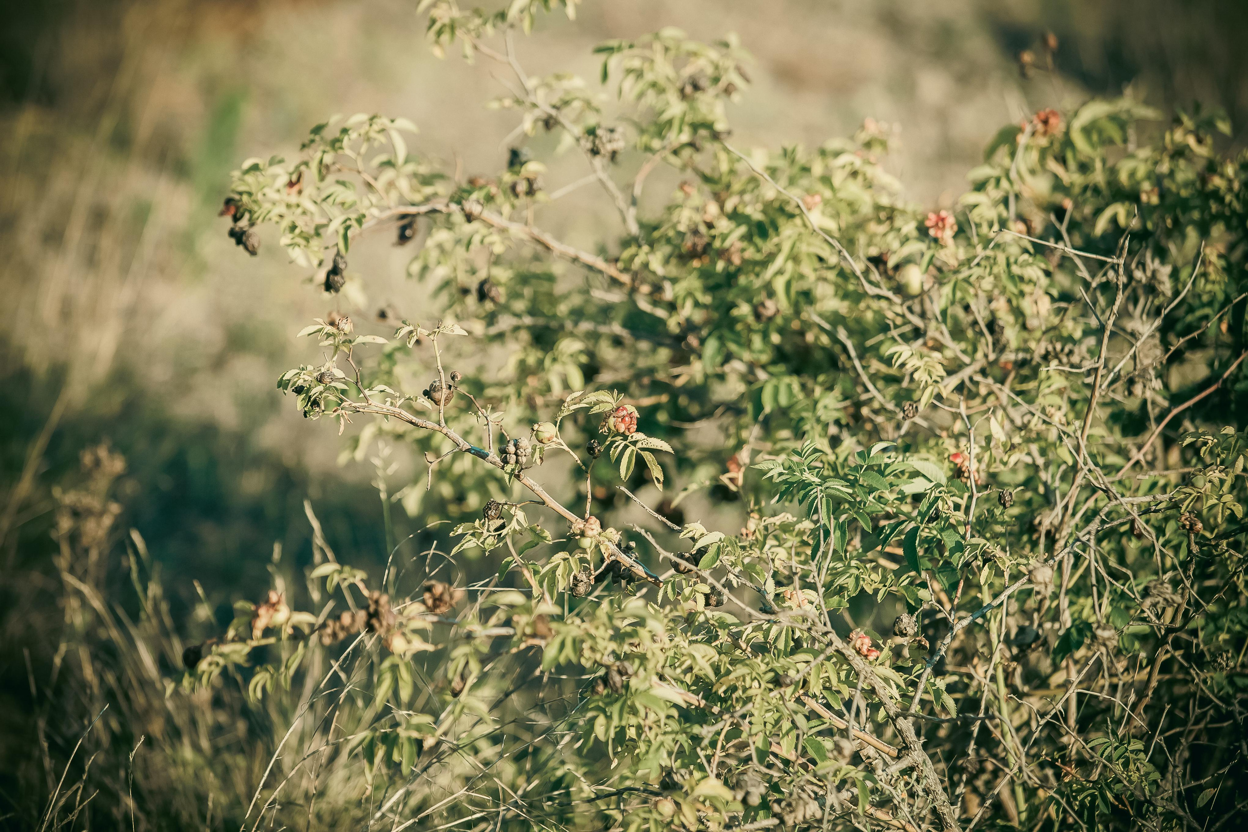 Маша + Миша. Летопись вашей жизни. Фотограф Игорь Иванов