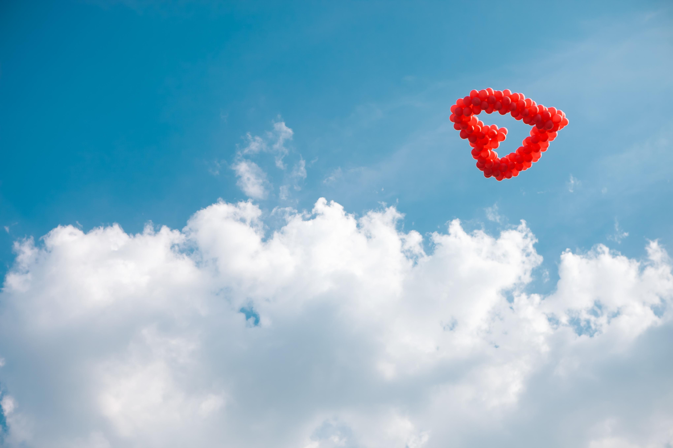 Олеся + Александр. Летопись вашей жизни. Фотограф Игорь Иванов