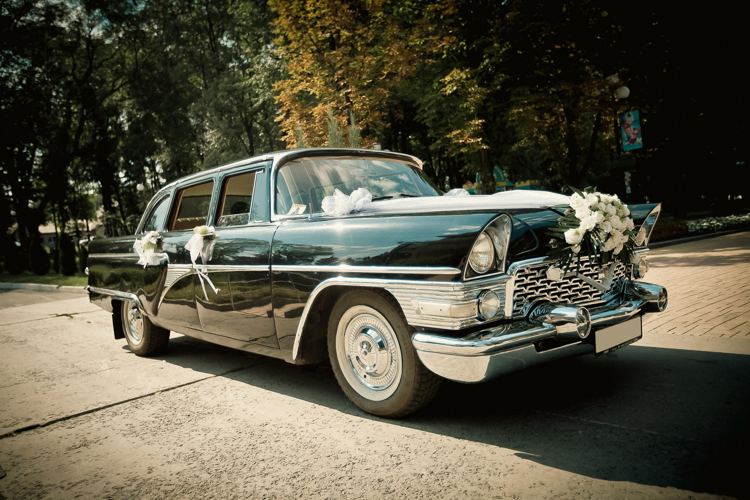 Марина + Владимир. Летопись вашей жизни. Фотограф Игорь Иванов