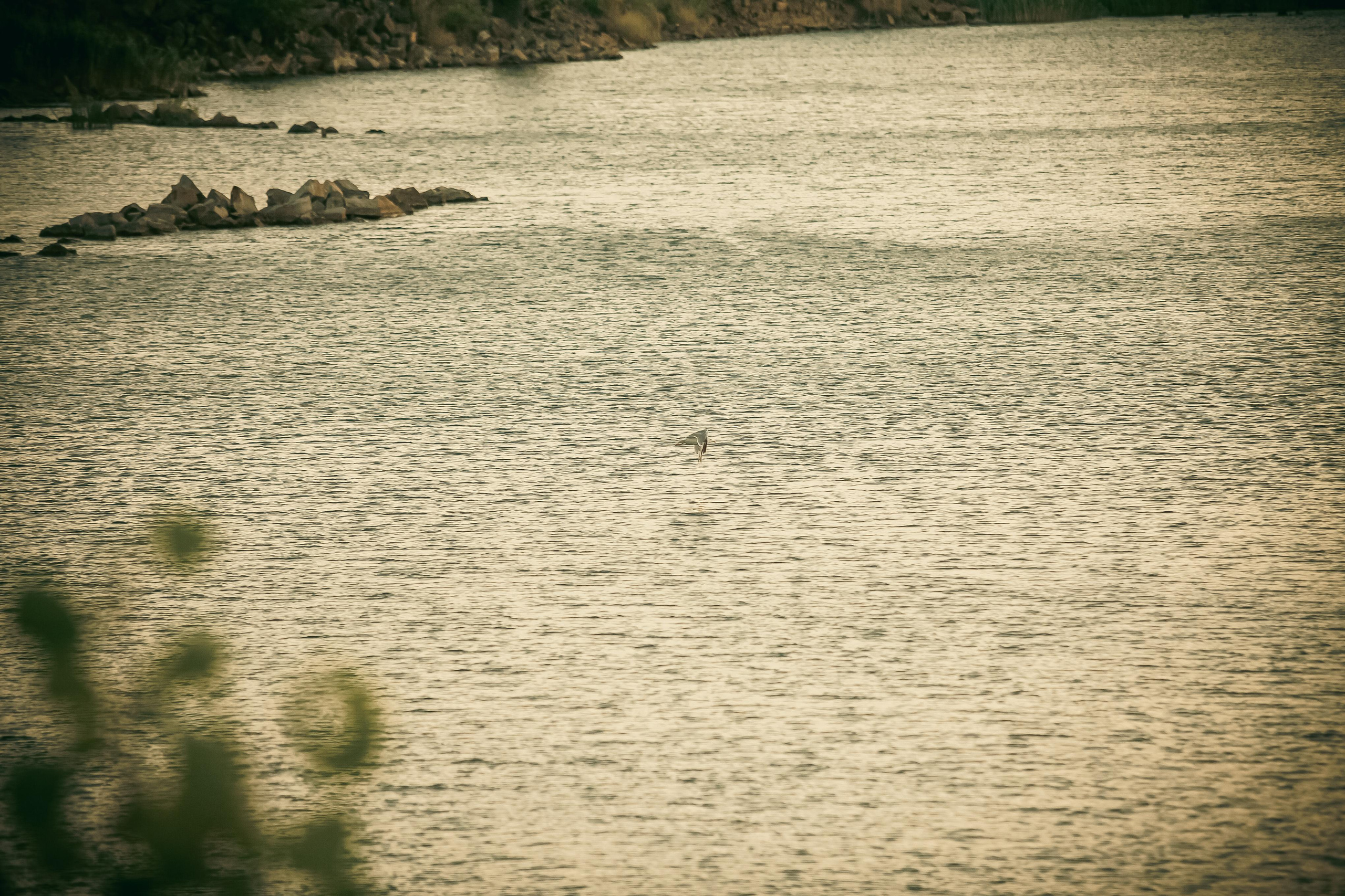 Маша + Миша. Летопись вашей жизни. Фотограф Игорь Иванов