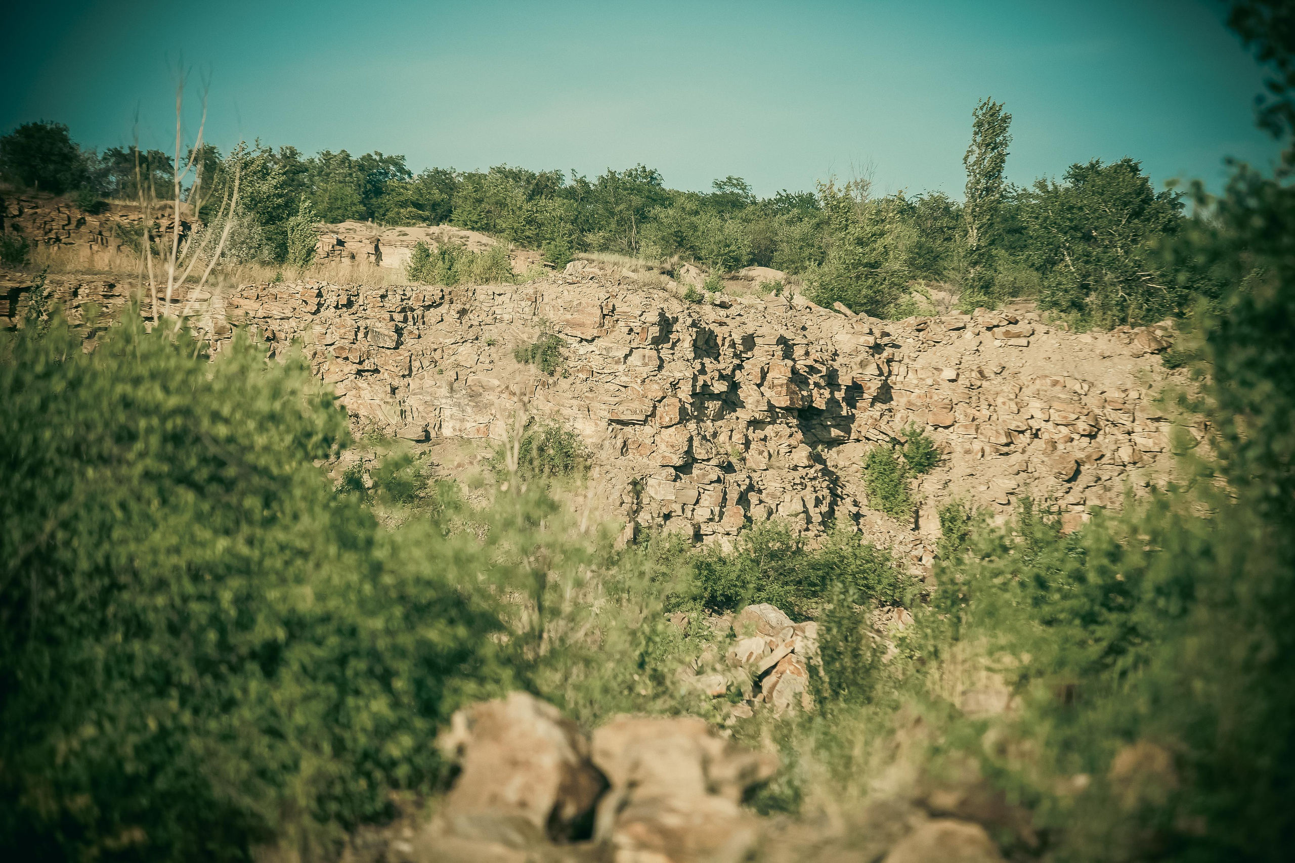 Маша + Миша. Летопись вашей жизни. Фотограф Игорь Иванов