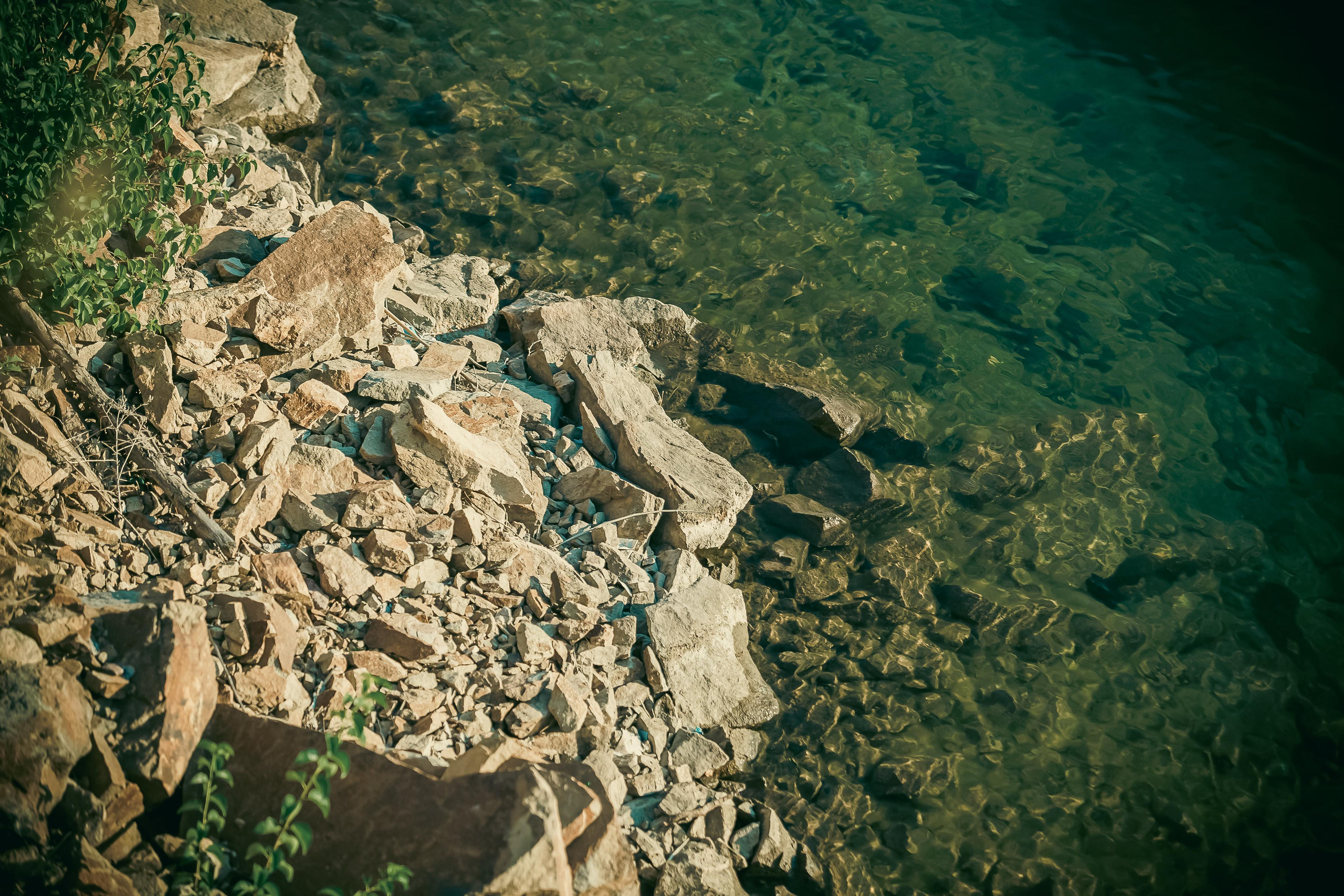 Маша + Миша. Летопись вашей жизни. Фотограф Игорь Иванов