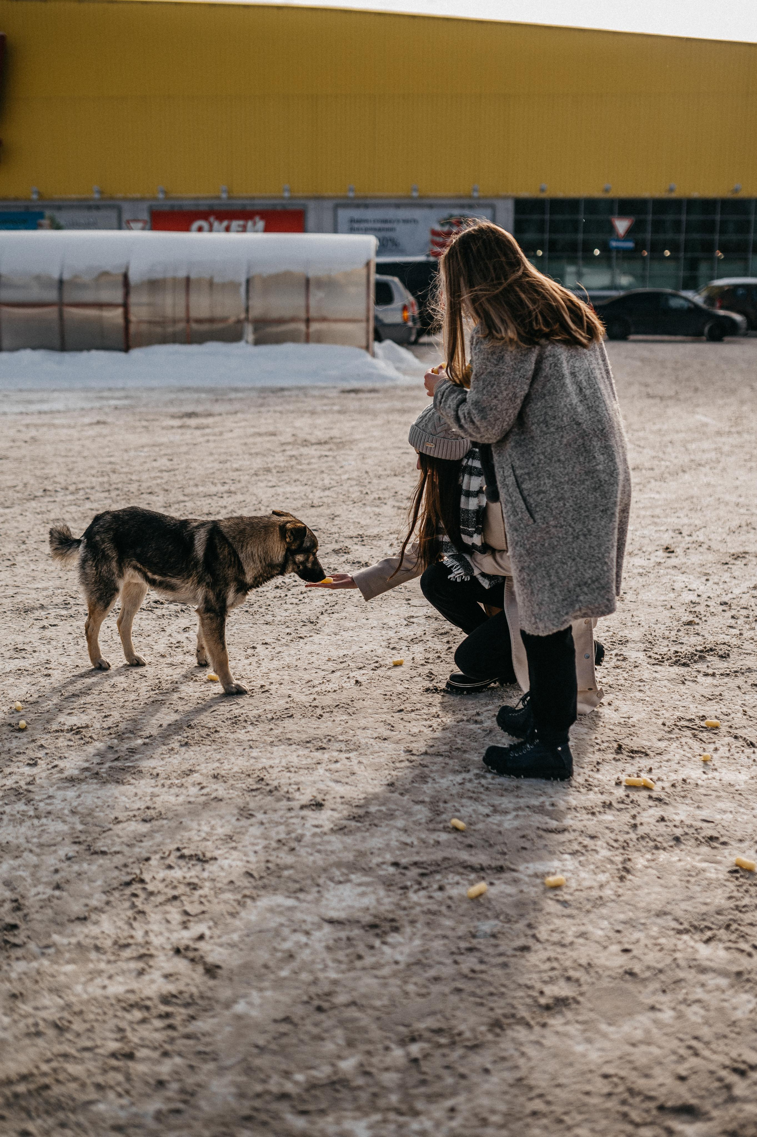 Подружки. Фотограф ПИТЕР СПБ Надежда Баранова
