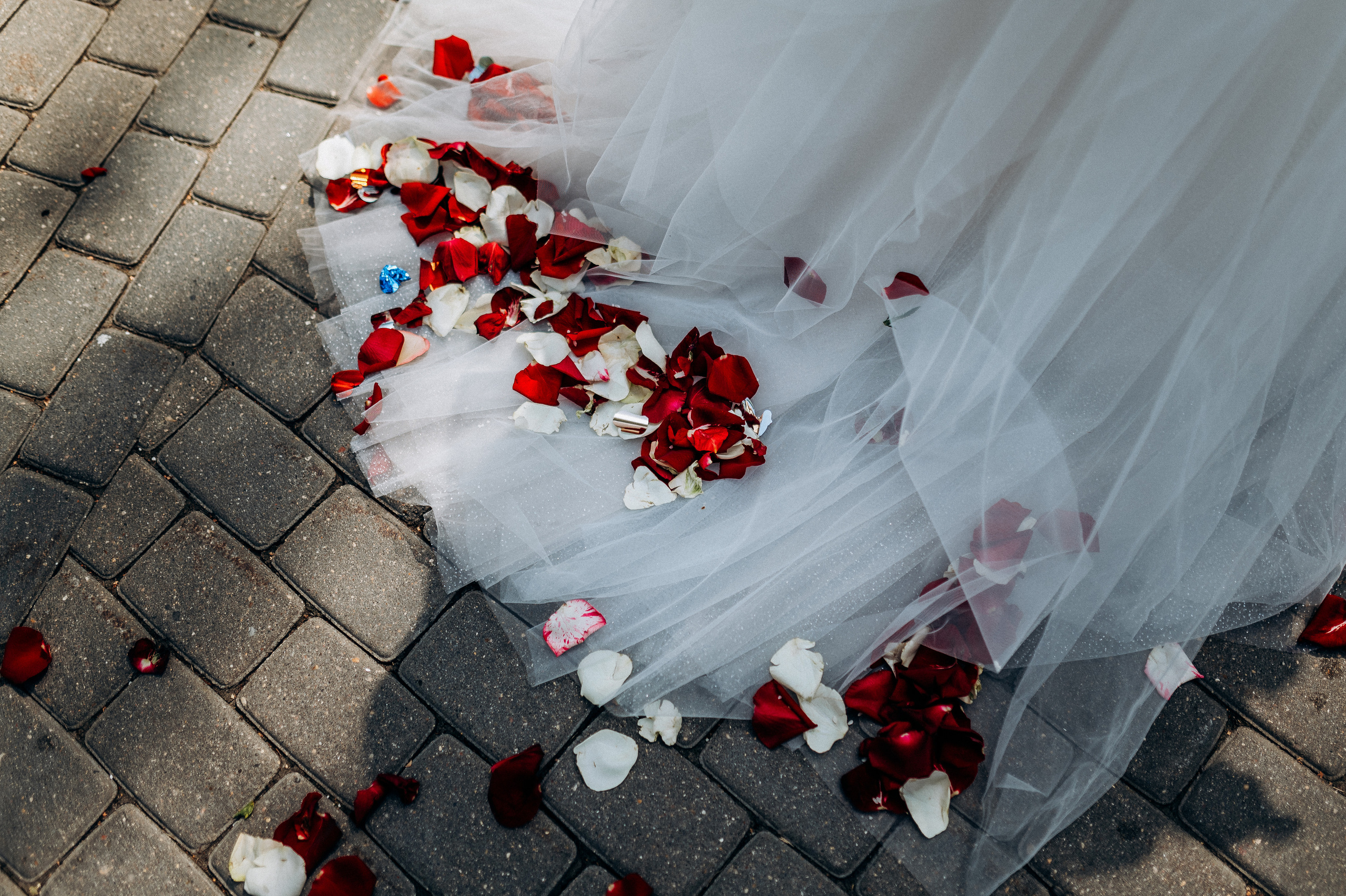 Мария и Сергей (свадебная, полный день). Фотограф ПИТЕР СПБ Надежда Баранова