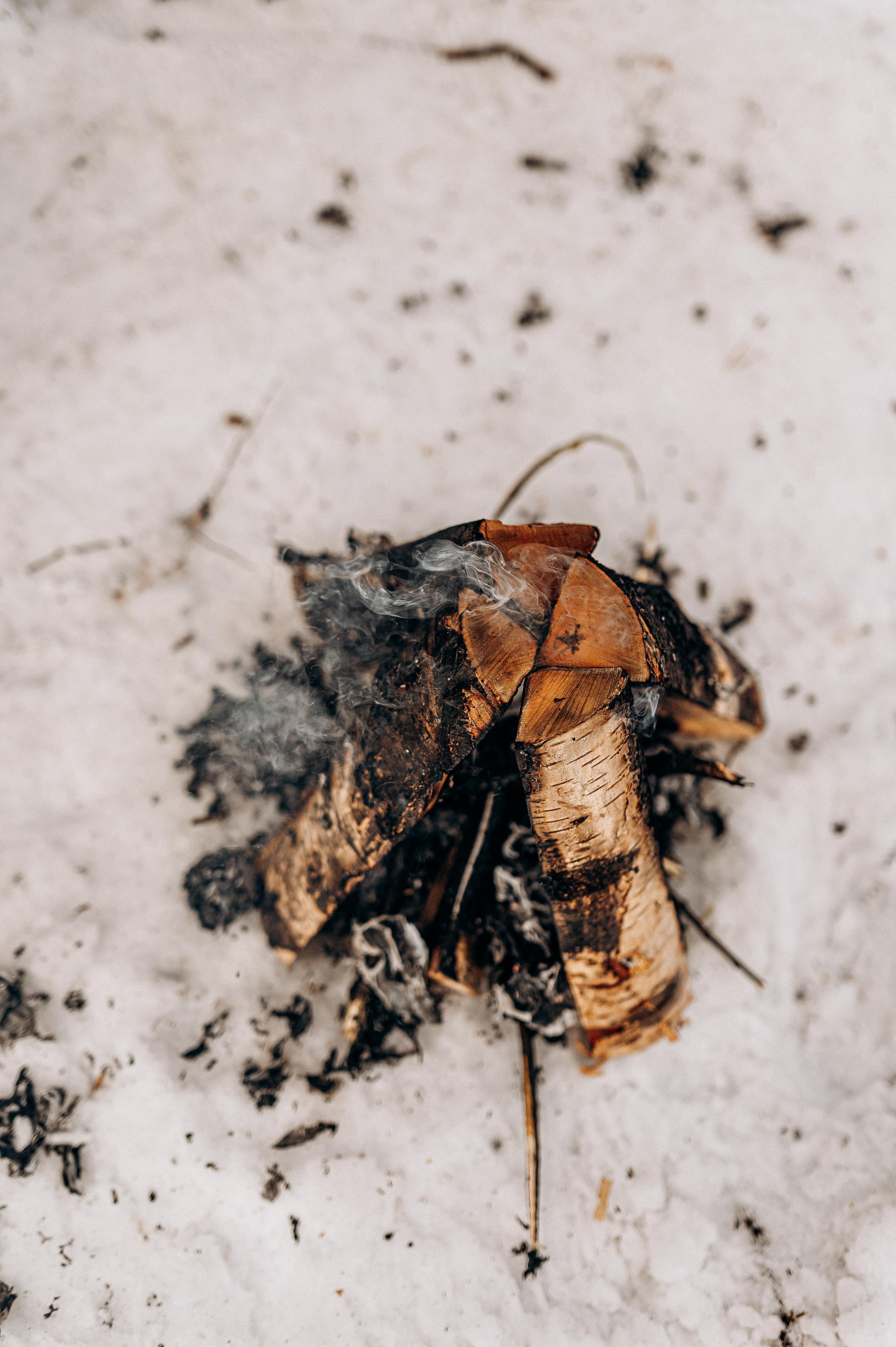 Лав стори лес. Фотограф ПИТЕР СПБ Надежда Баранова