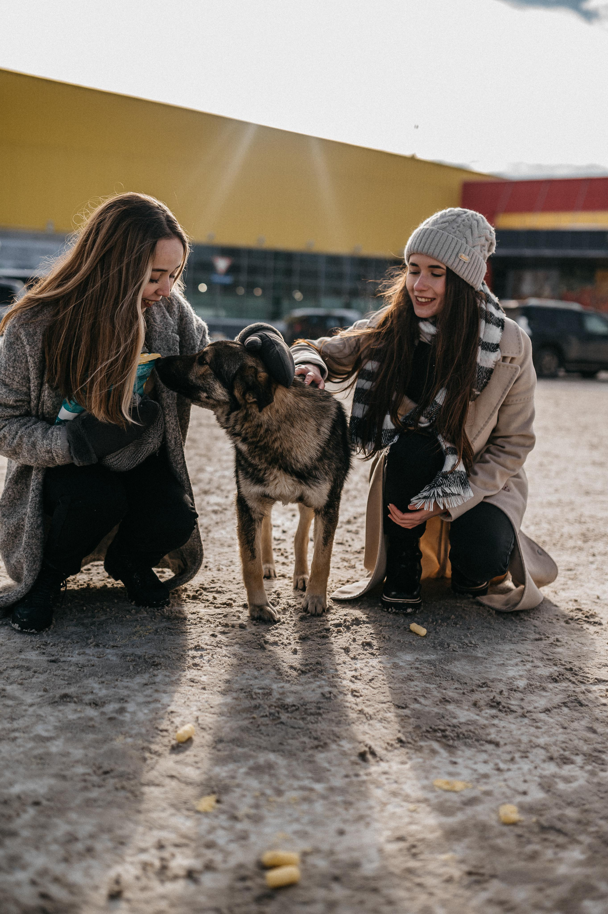 Подружки. Фотограф ПИТЕР СПБ Надежда Баранова