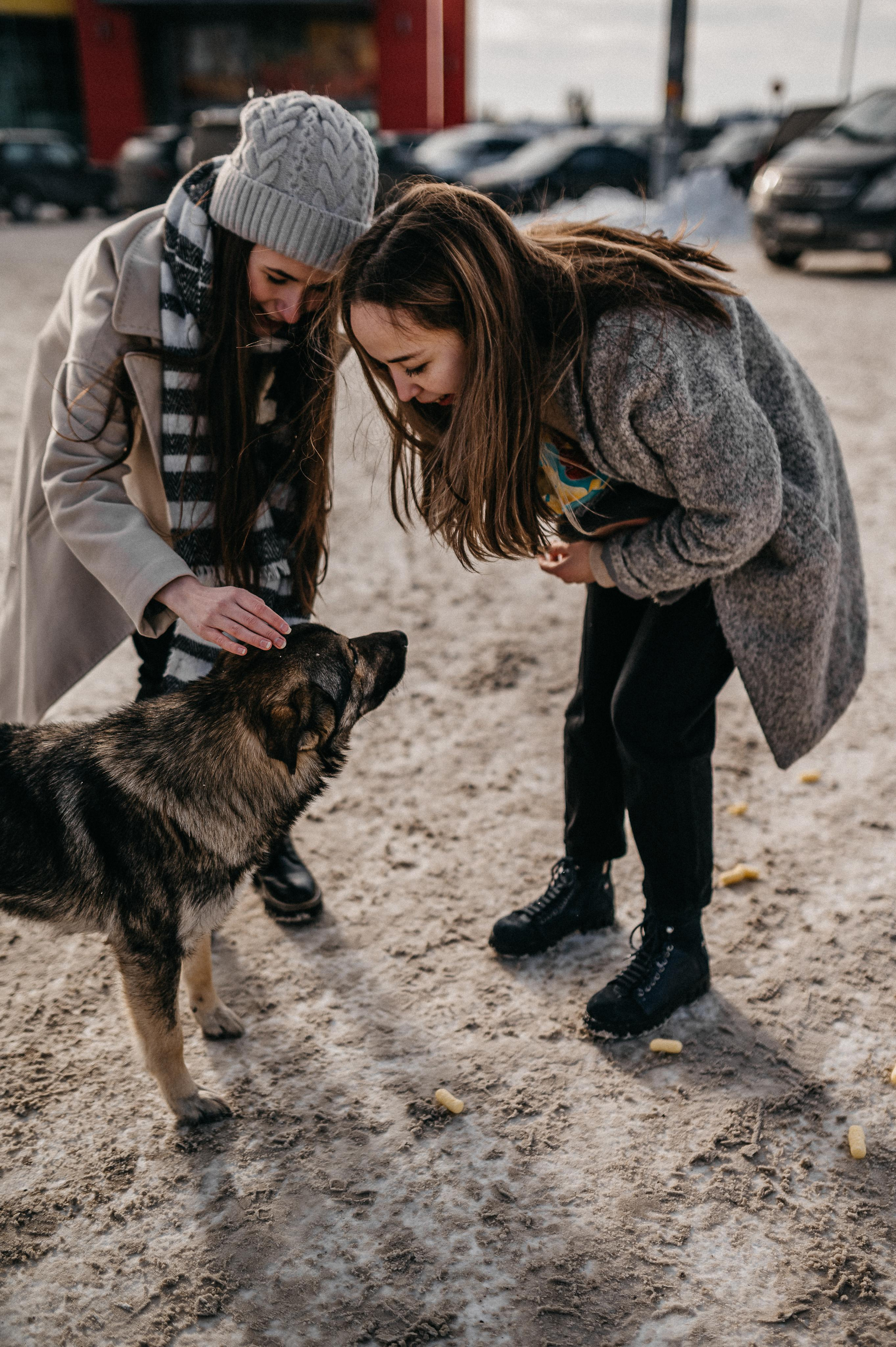 Подружки. Фотограф ПИТЕР СПБ Надежда Баранова