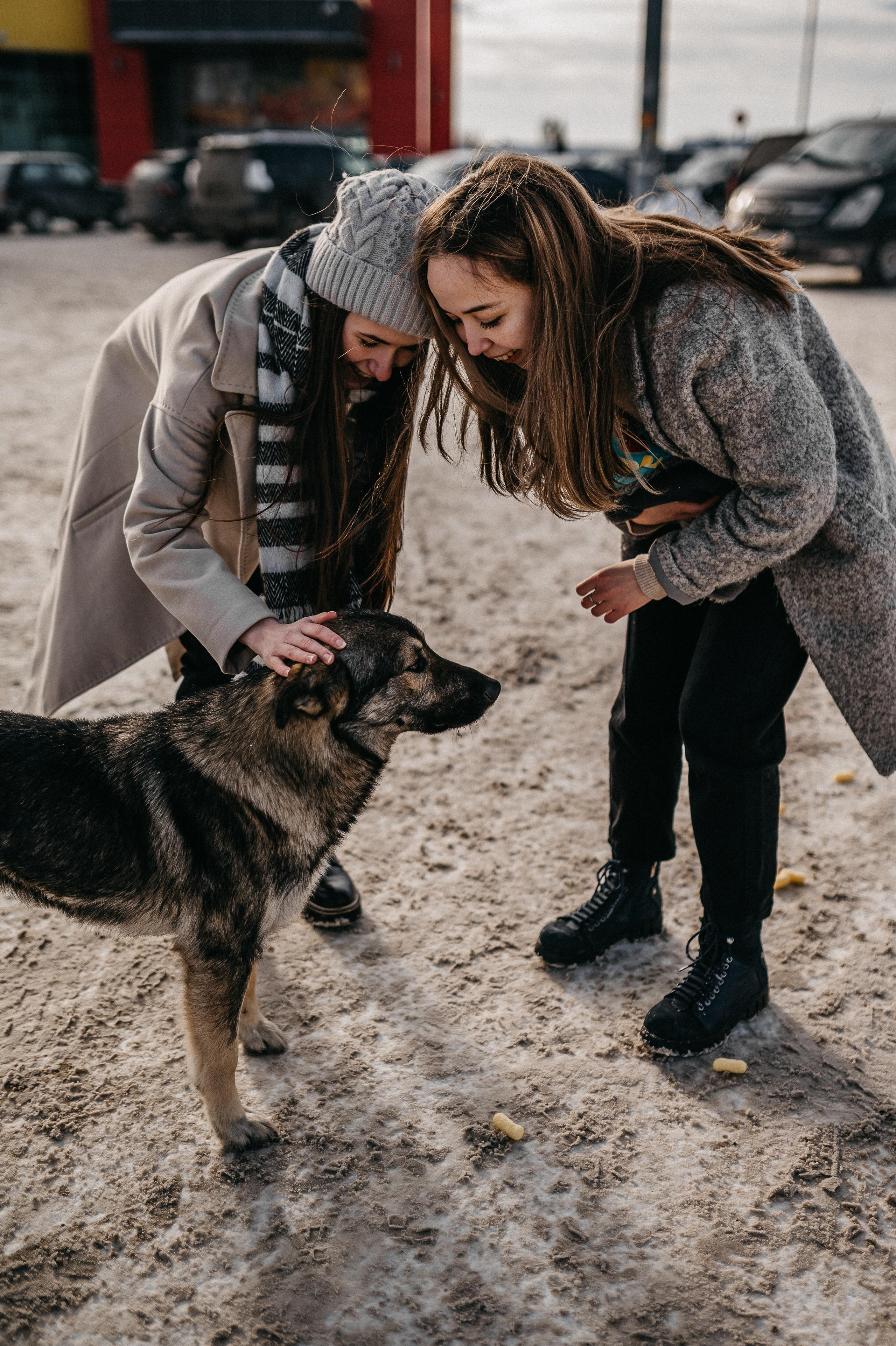 Подружки. Фотограф ПИТЕР СПБ Надежда Баранова