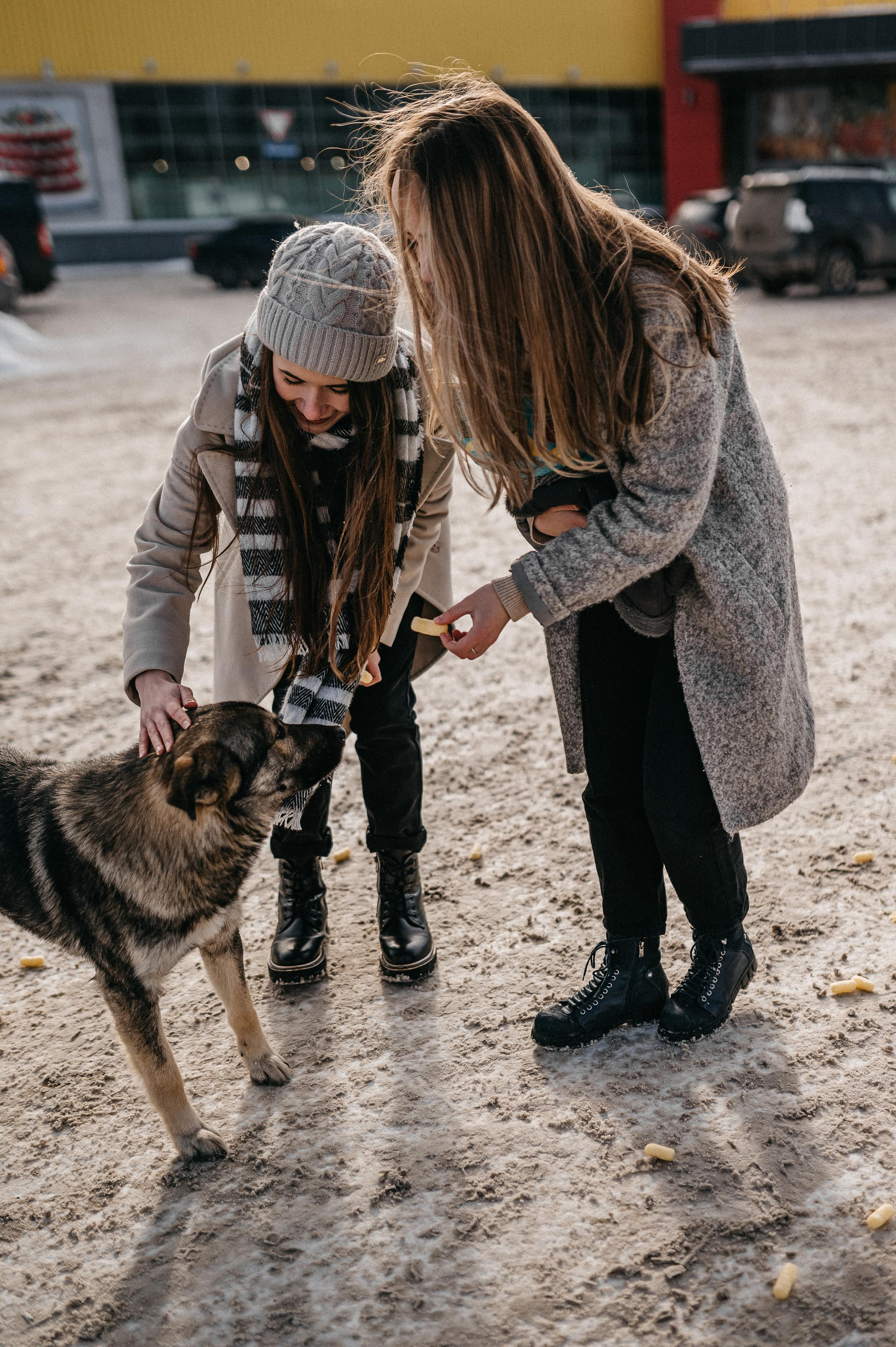 Подружки. Фотограф ПИТЕР СПБ Надежда Баранова