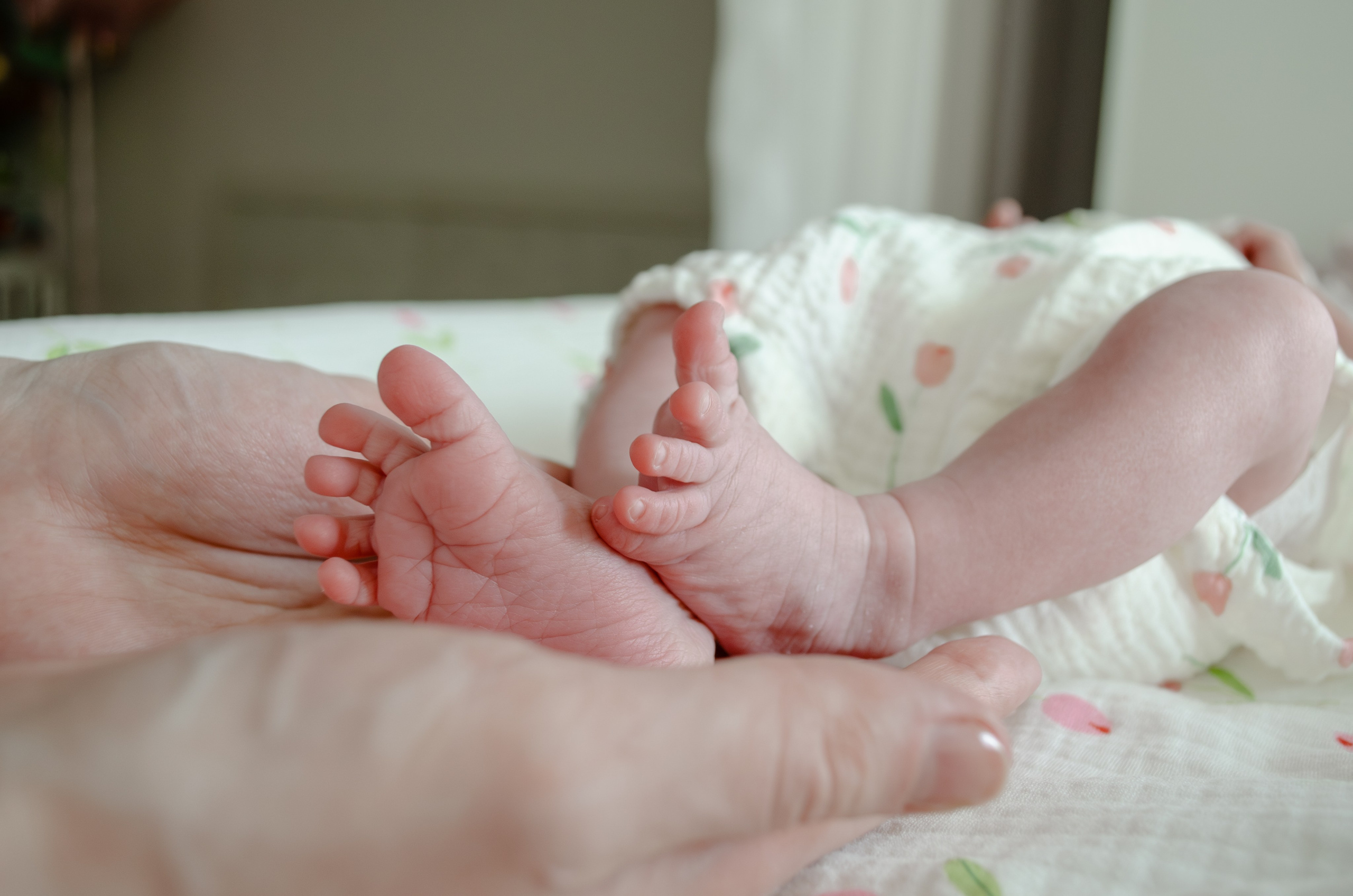 Таисия, Полина, Роман. Светлана Агалакова Фотограф