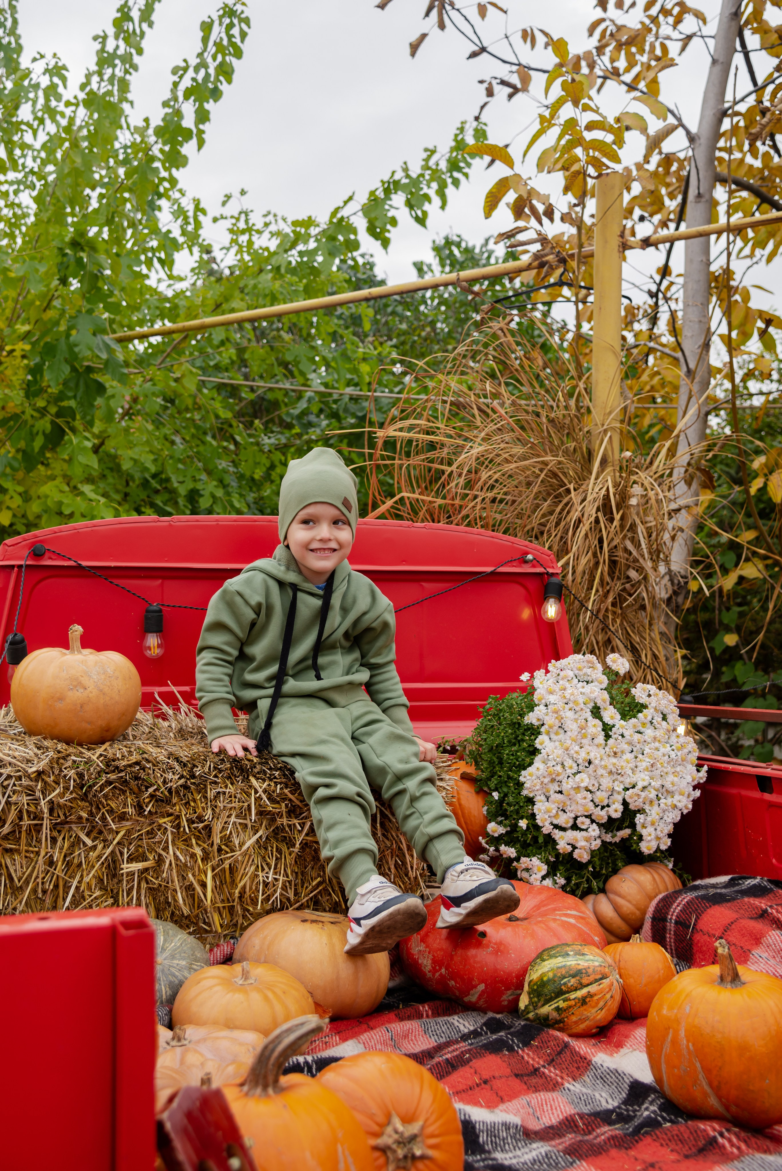 Авакадо. Фотограф Галина Нестерова