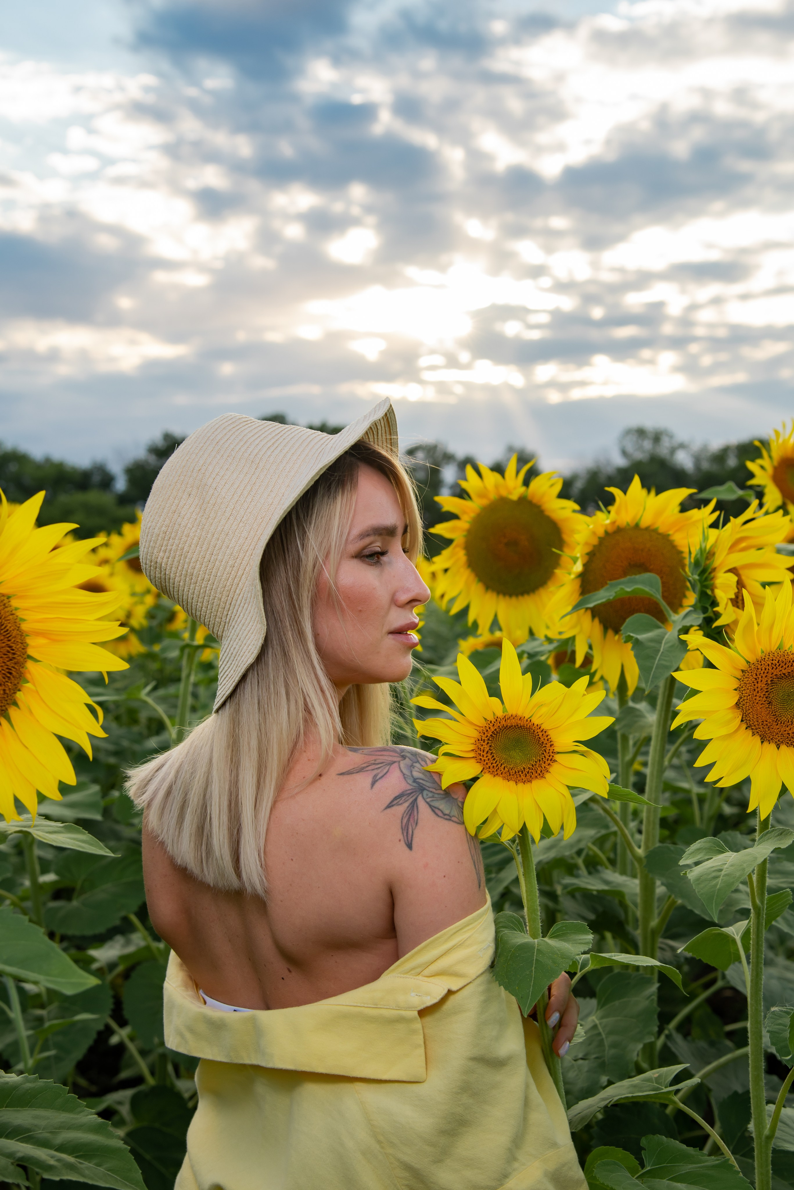 Подсолнух. Фотограф Галина Нестерова