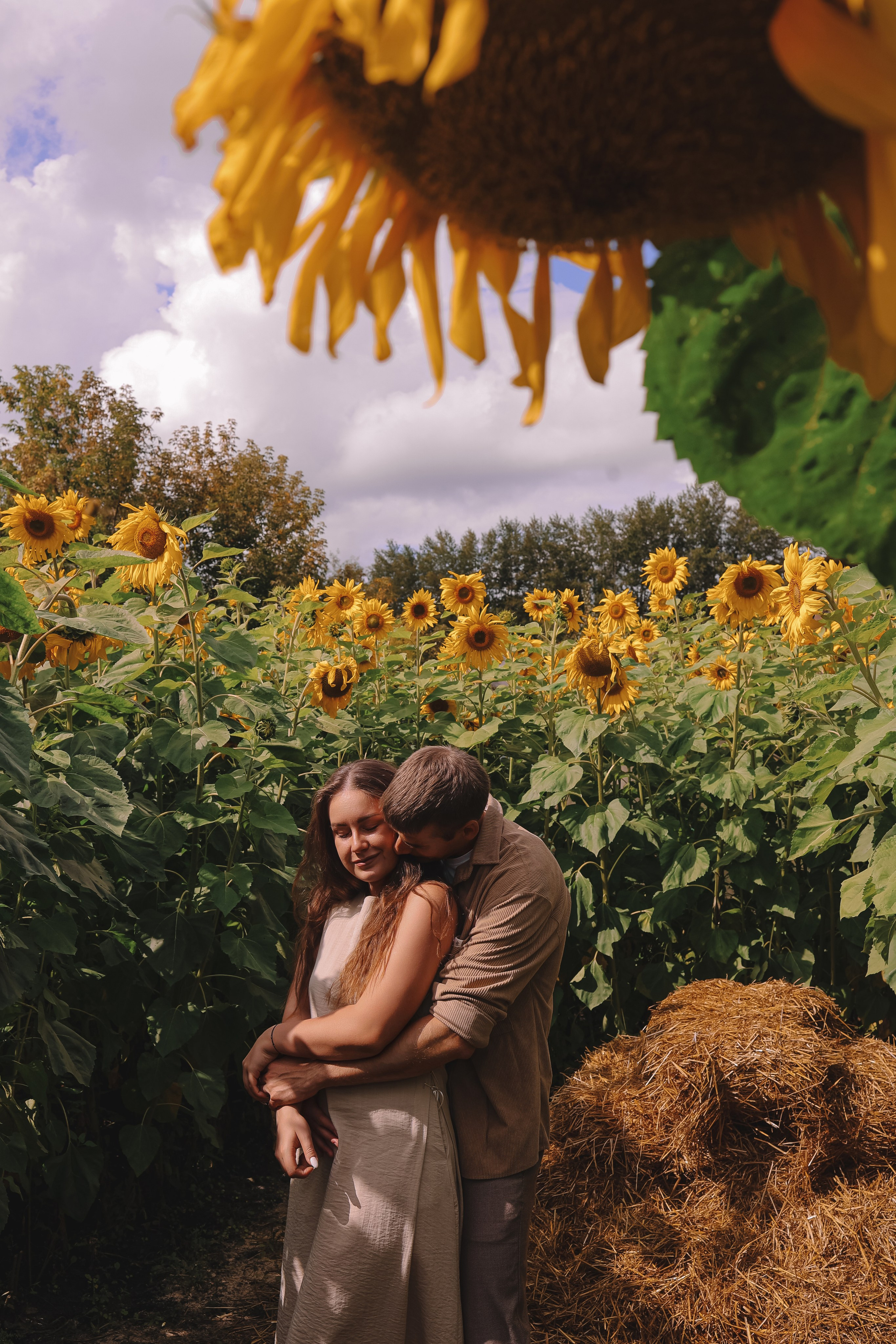 Подсолнухи. Семейный фотограф Тюмень, фотограф на роды Салмина Мария