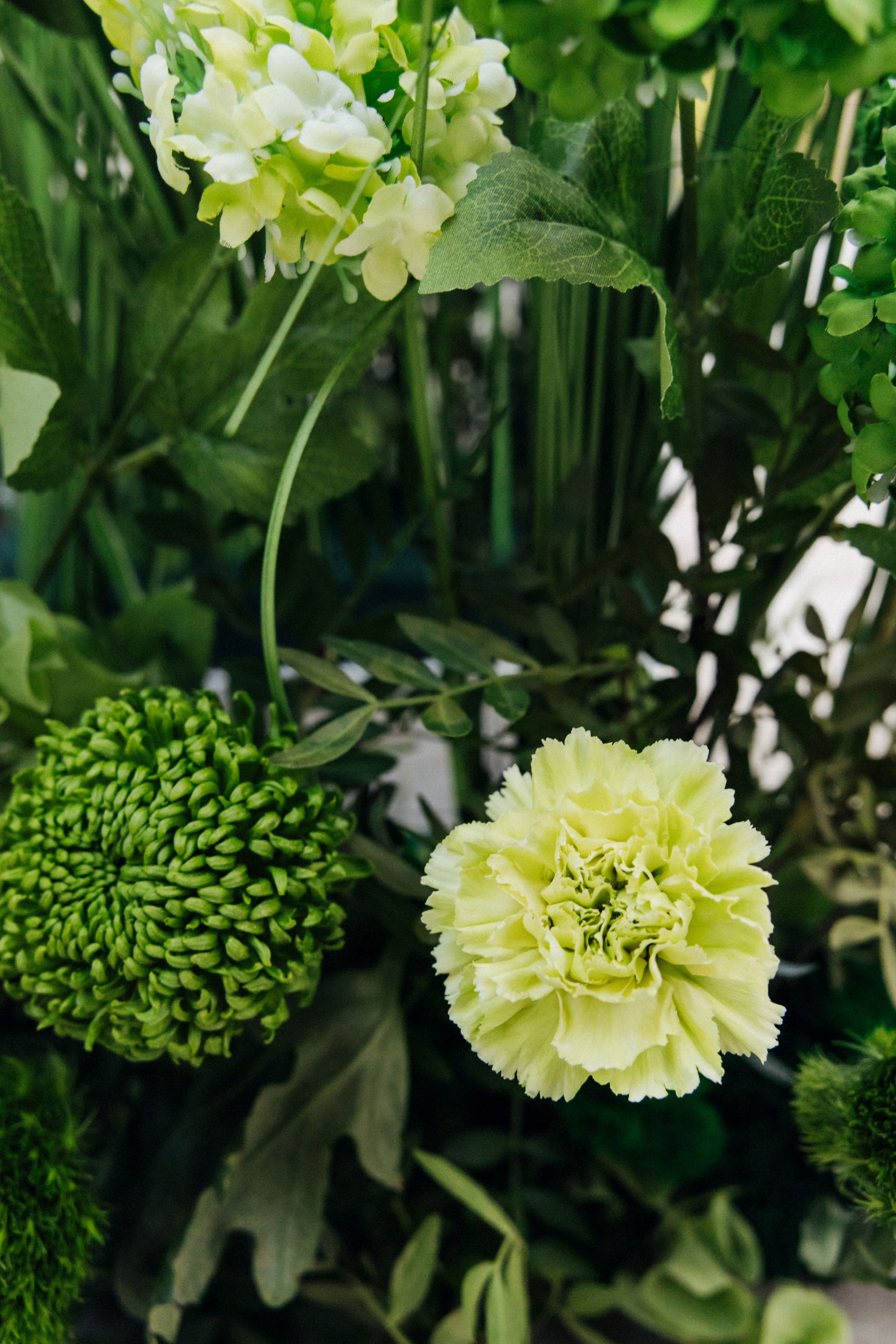 Денис и Елизавета. Фотограф в Красноярске