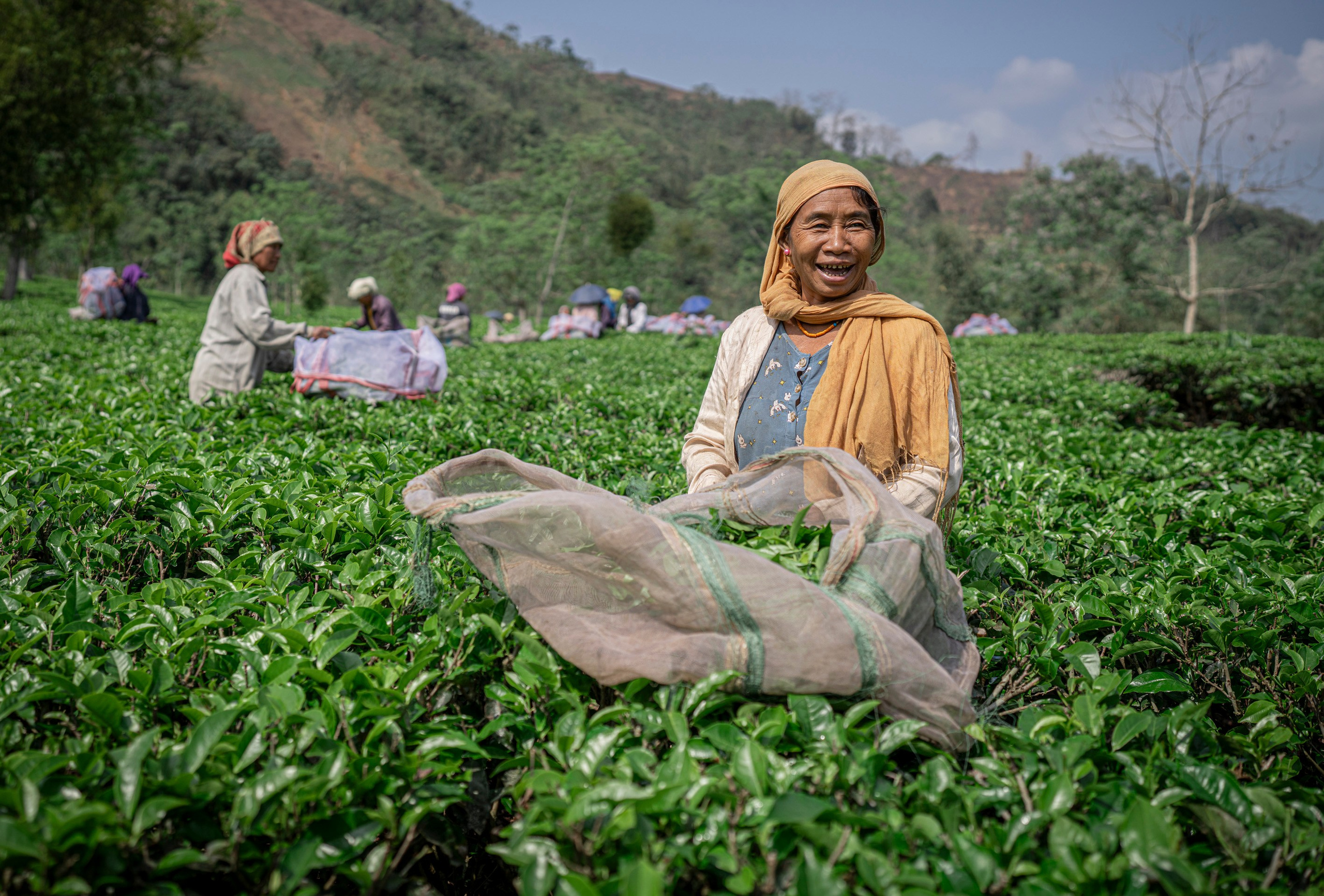 India travel. Фотограф Сергей Танков