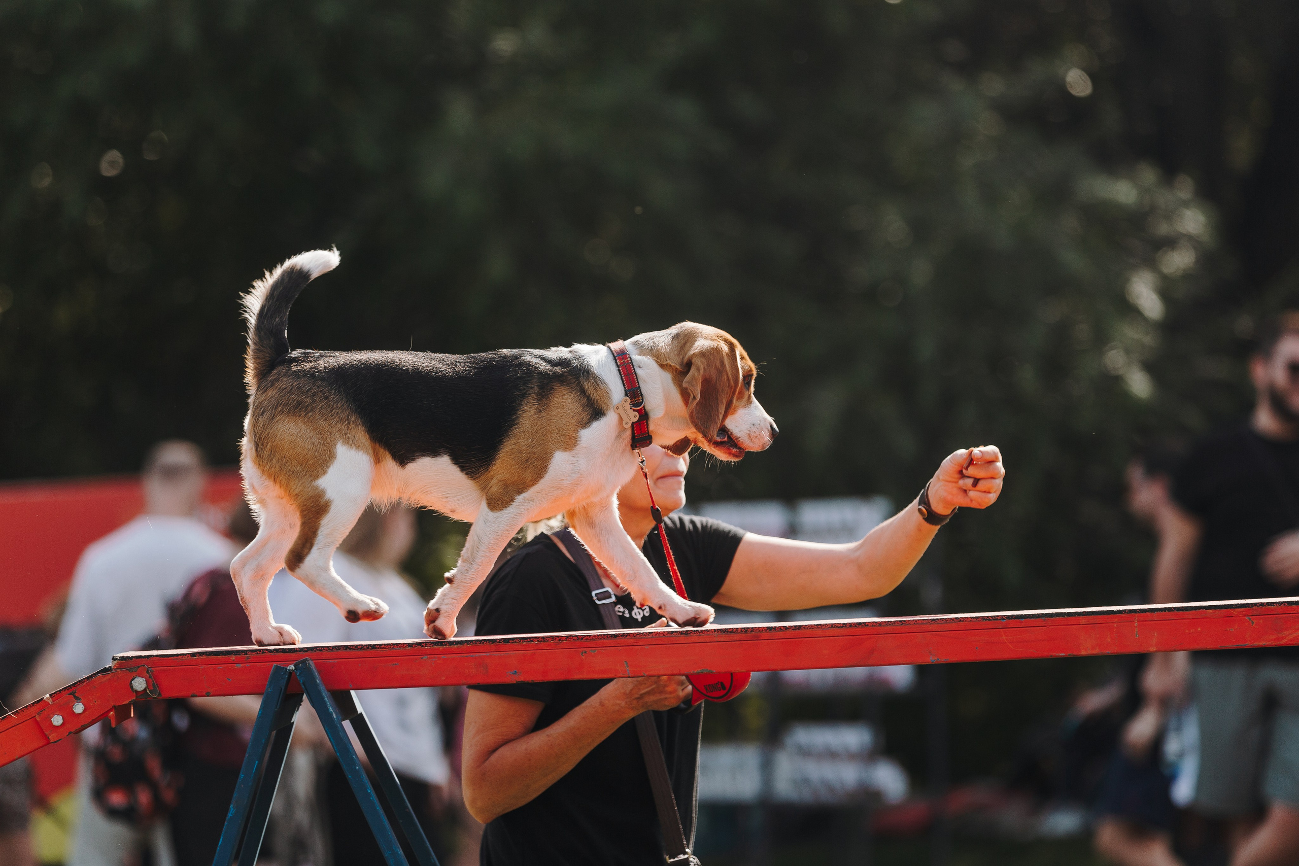 Petshop Sup day. Фотограф анималист Кристина Карпова, Москва