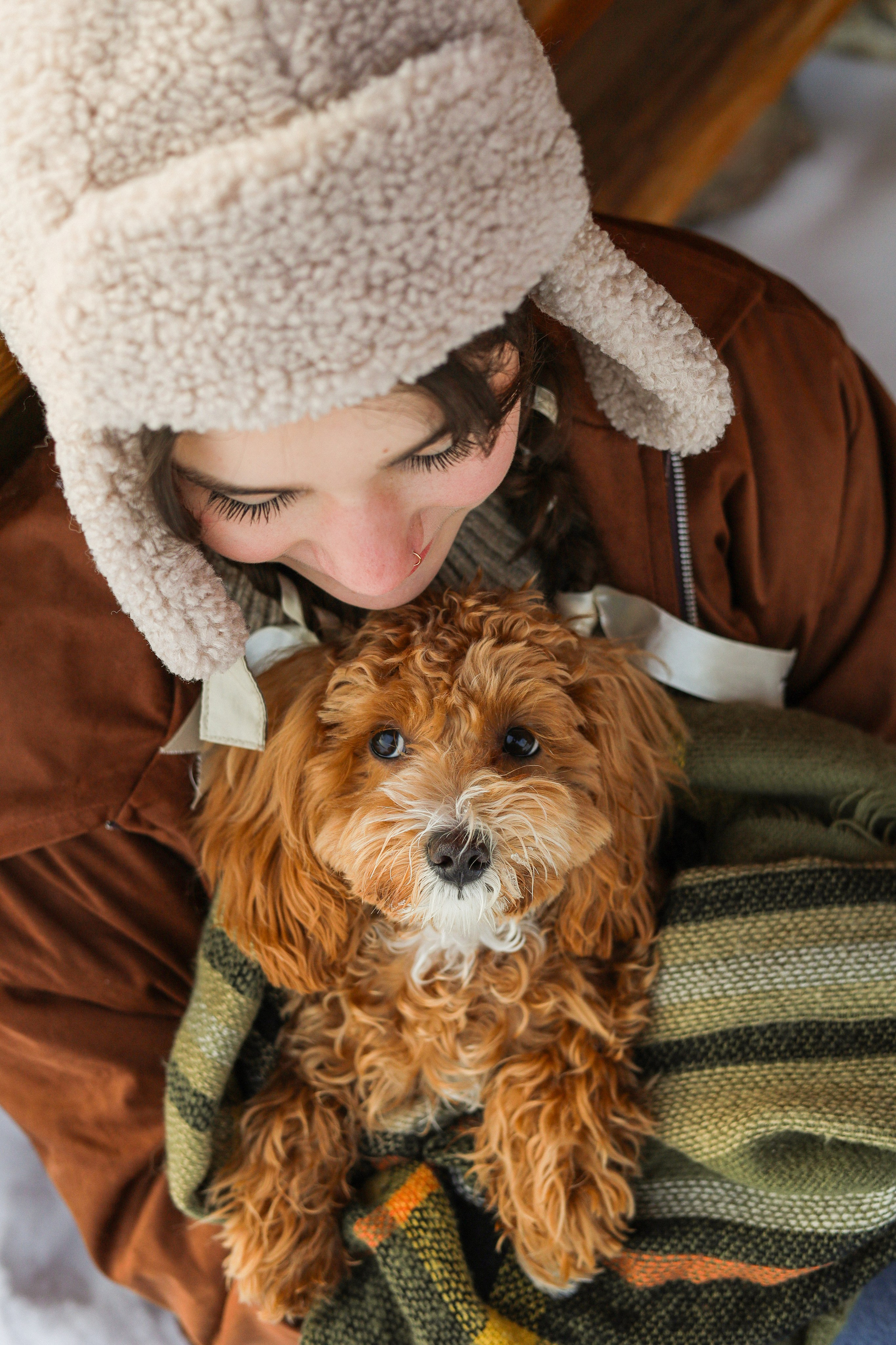 Вики и Ева. Фотограф-анималист Ксения Шевцова|Москва