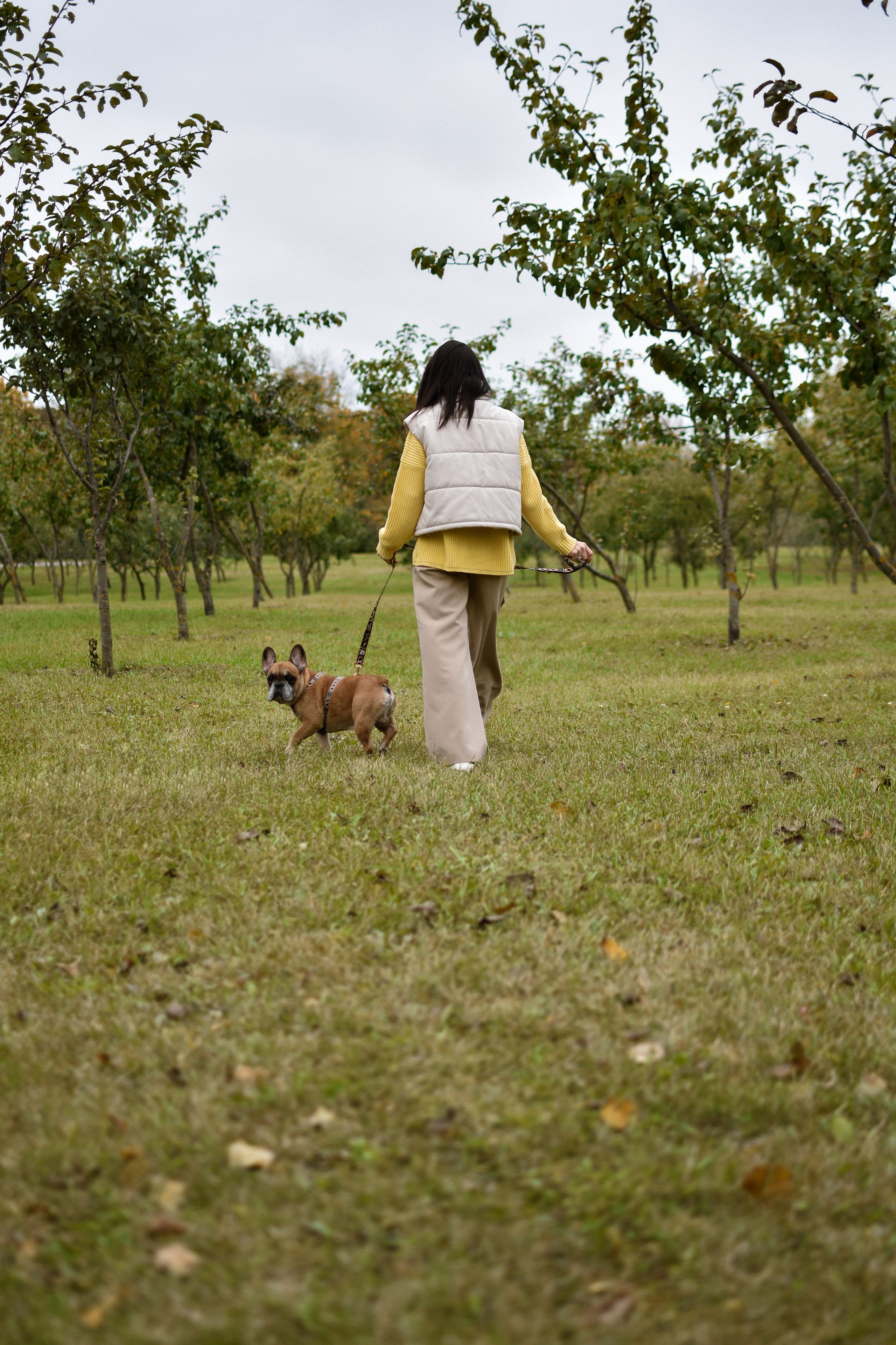 Форбс и Юля. Фотограф-анималист Ксения Шевцова|Москва