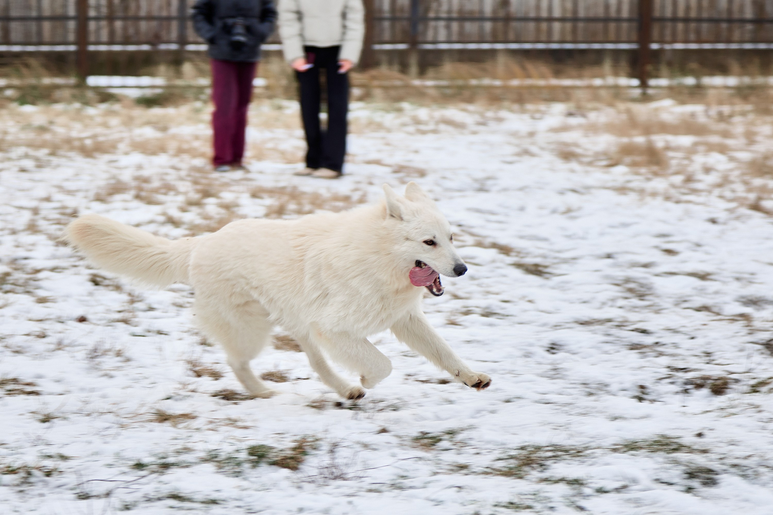 Юниор Профи 2025. Портретный фотограф Евгений Денисов