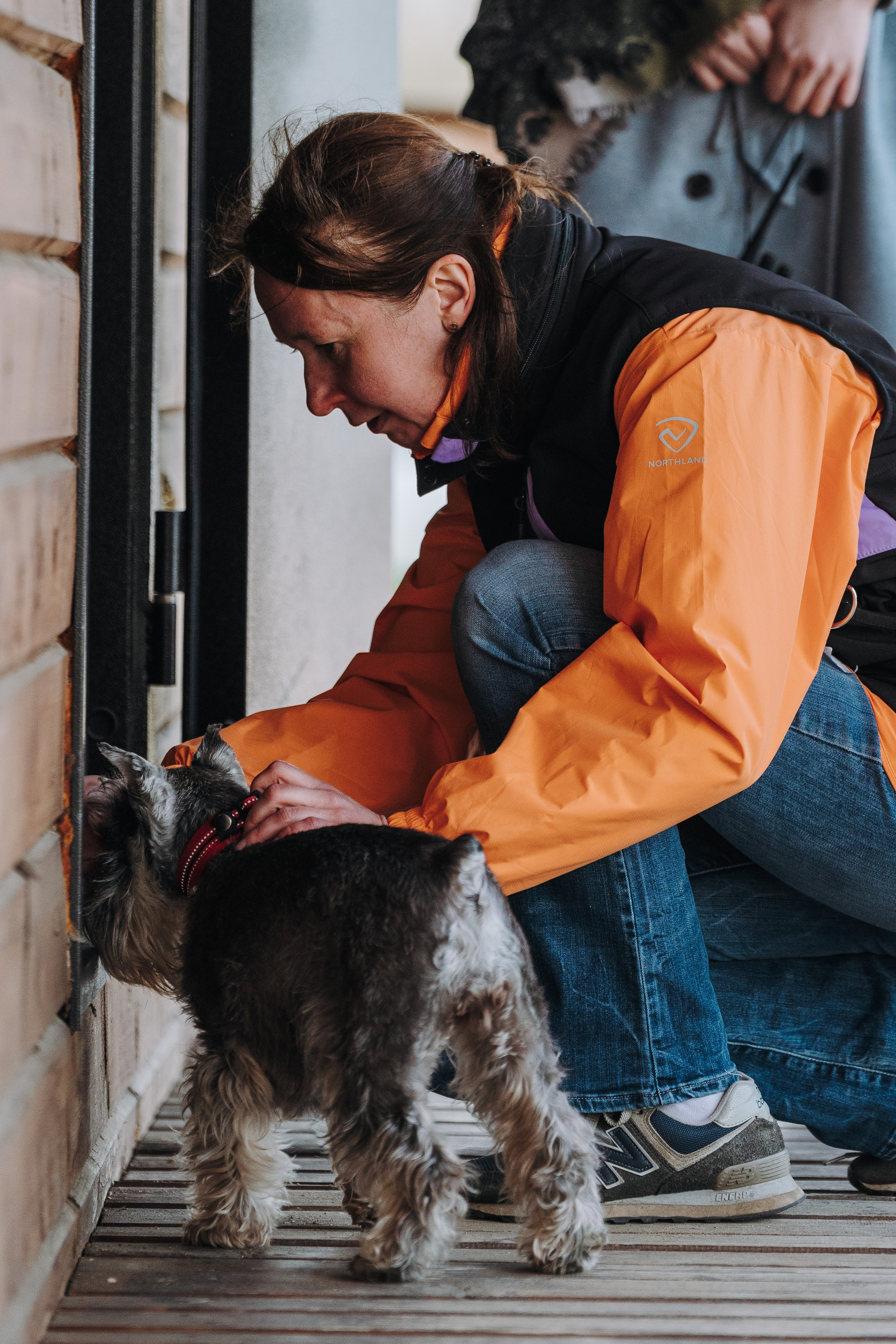 Соревнования по ноузворку в Лосево. Фотограф анималист в Спб недорого Олеся Майорова
