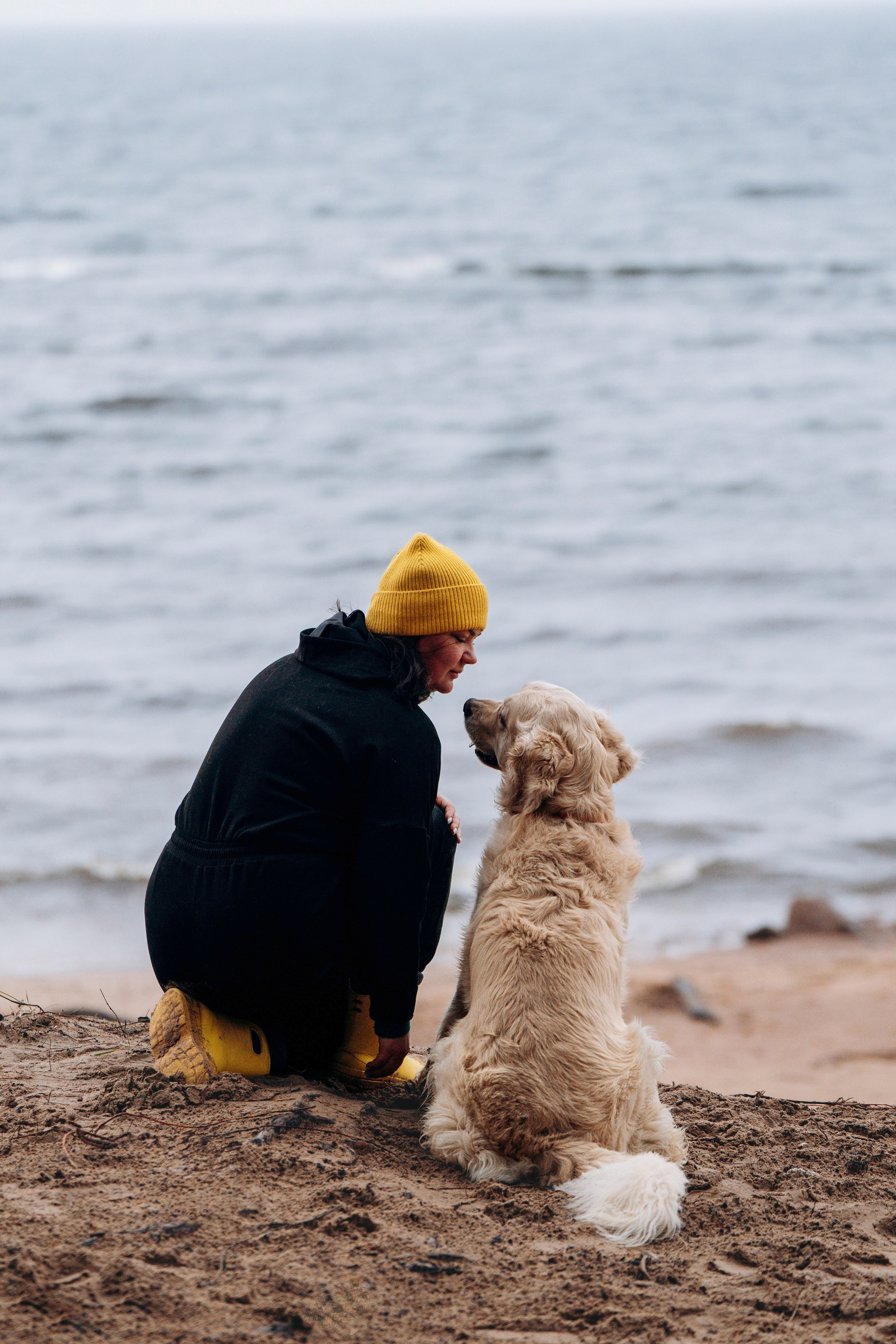Асти, Крис и Александра. Фотограф анималист в Спб недорого Олеся Майорова