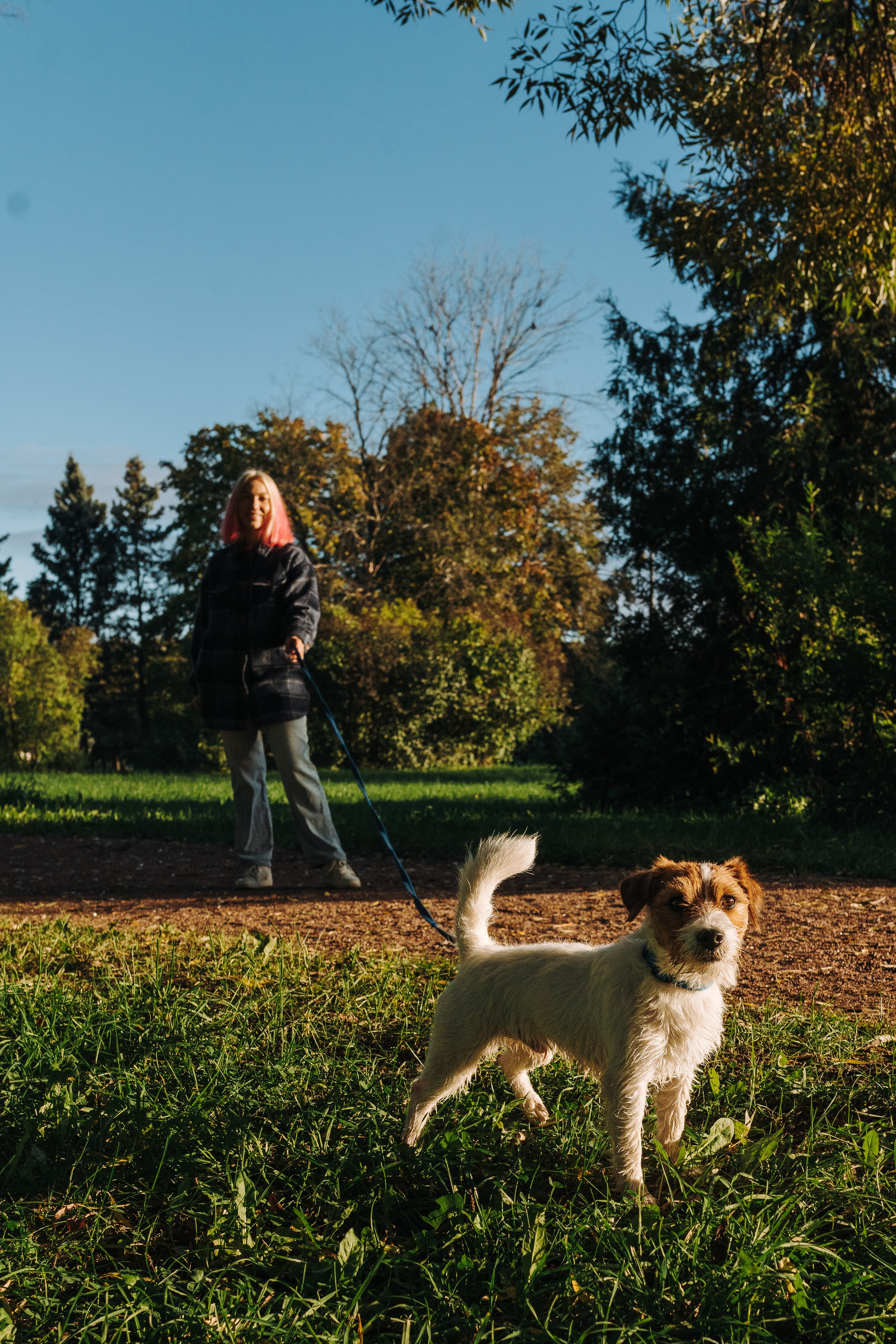 Фотосессия с маленькой собакой Спб. Фотограф анималист в Спб недорого Олеся Майорова