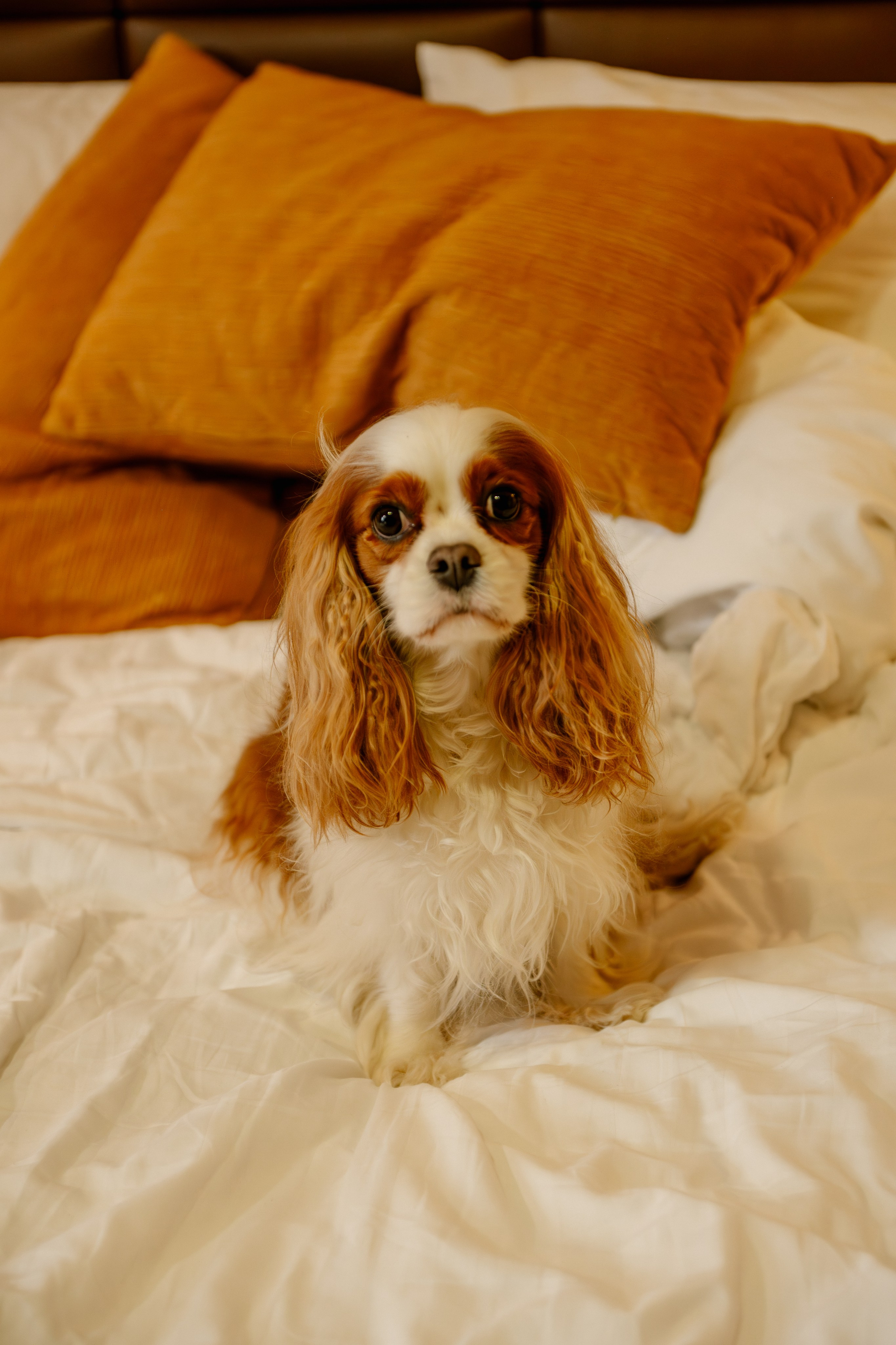 Альбомы романтических съёмок. Семейный и свадебный фотограф в Москве и Домодедово Анна Авилочкина