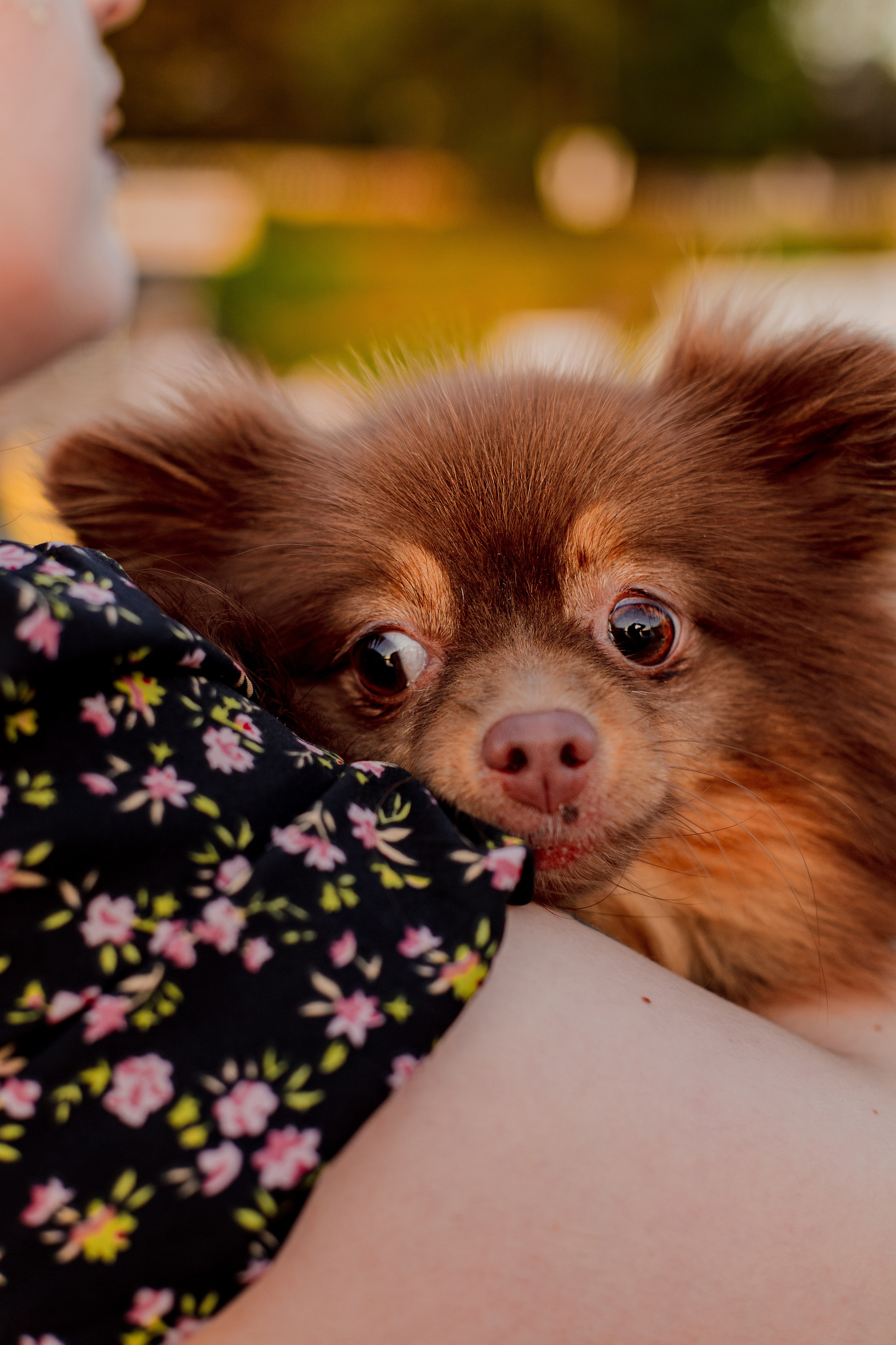 Настя и Жульен. Фотограф-анималист Мария Баркевич | Москва