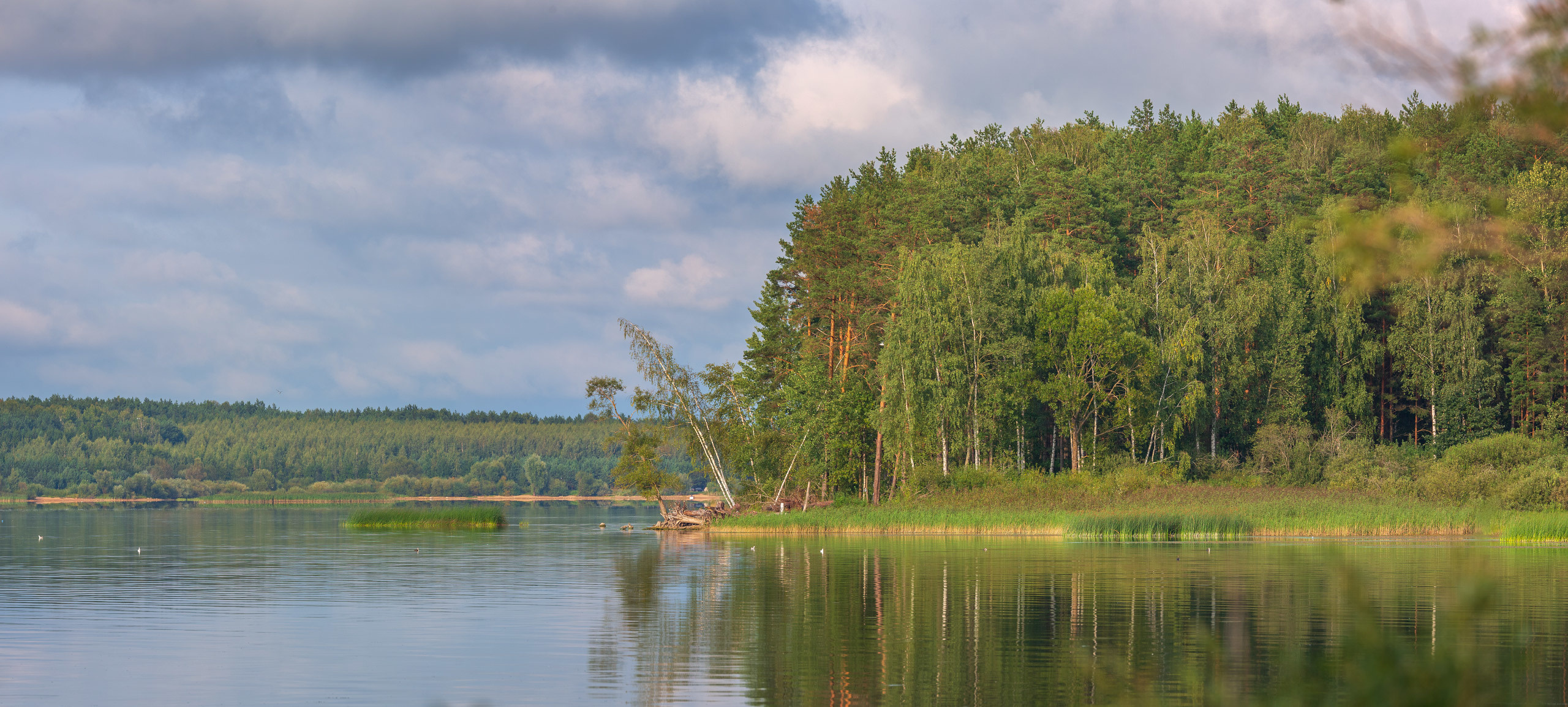 Фотовыезд клуба ПРОявление. Фотограф Евгений Стельмах в Молодечно и Минске