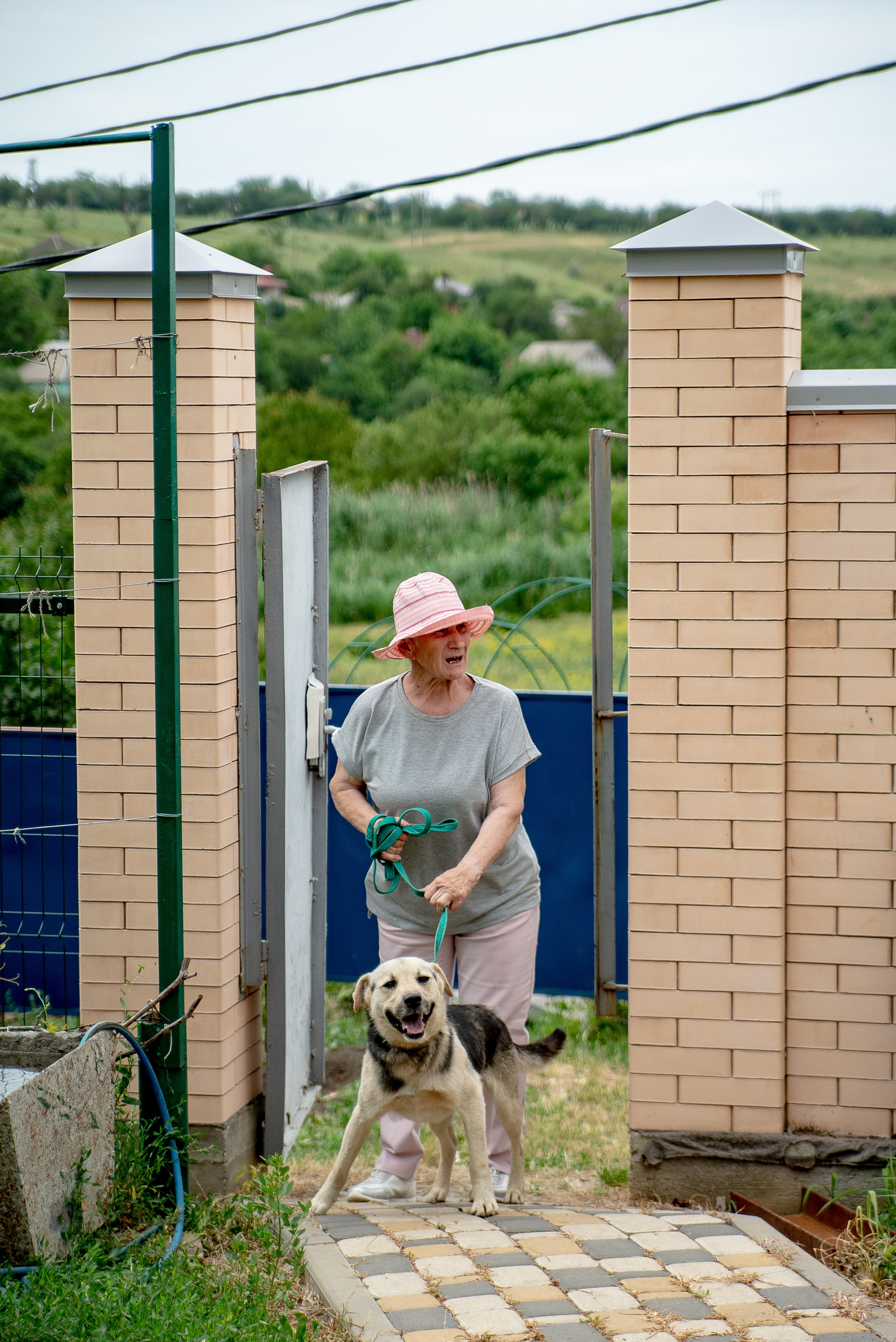 Милое торжество. Максим Матвийченко и Виктория Басова профессионалы своего дела