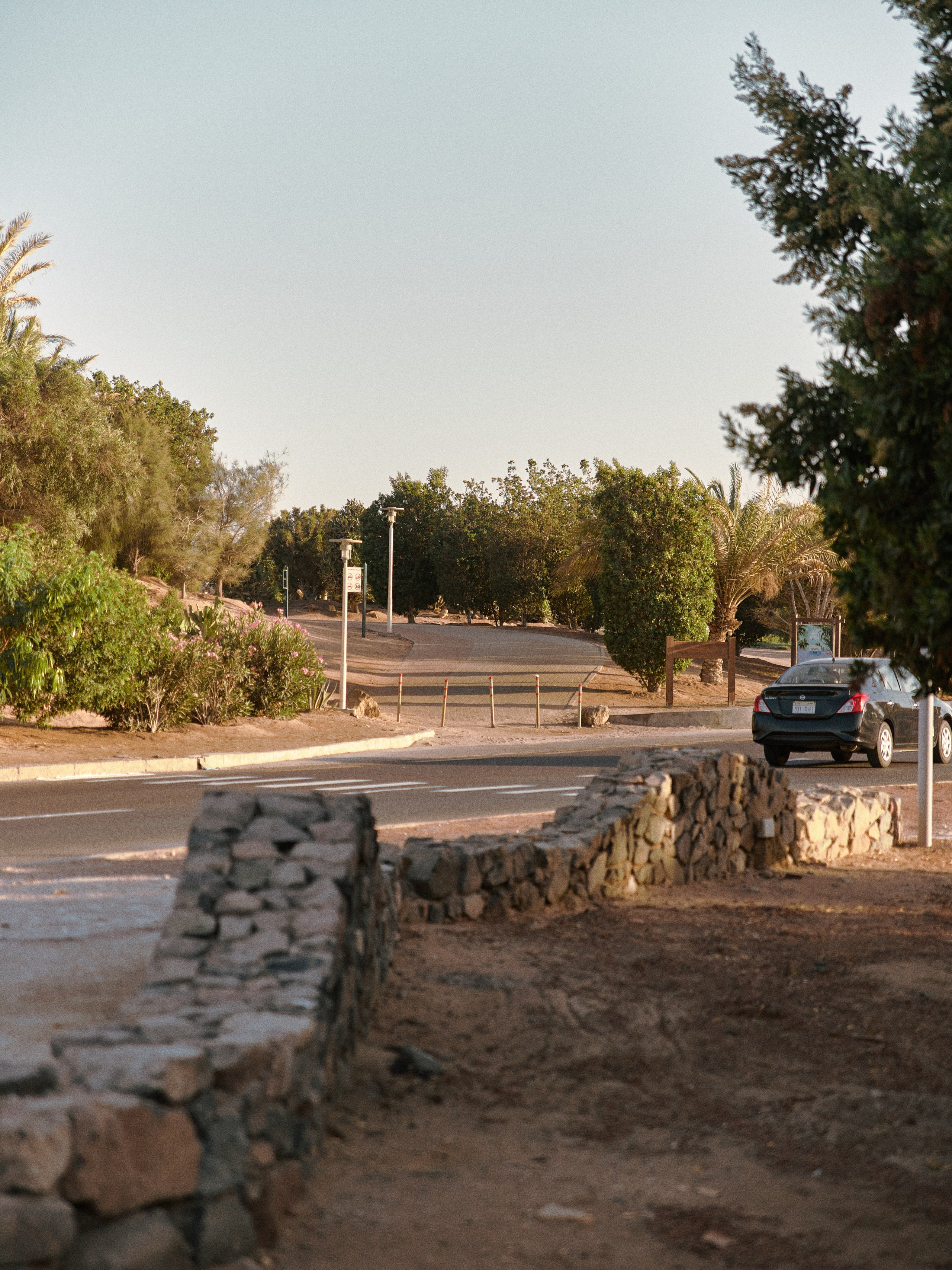 Улицы. Jorgis Talè — photographer, kind person, teacher of arts and other mag