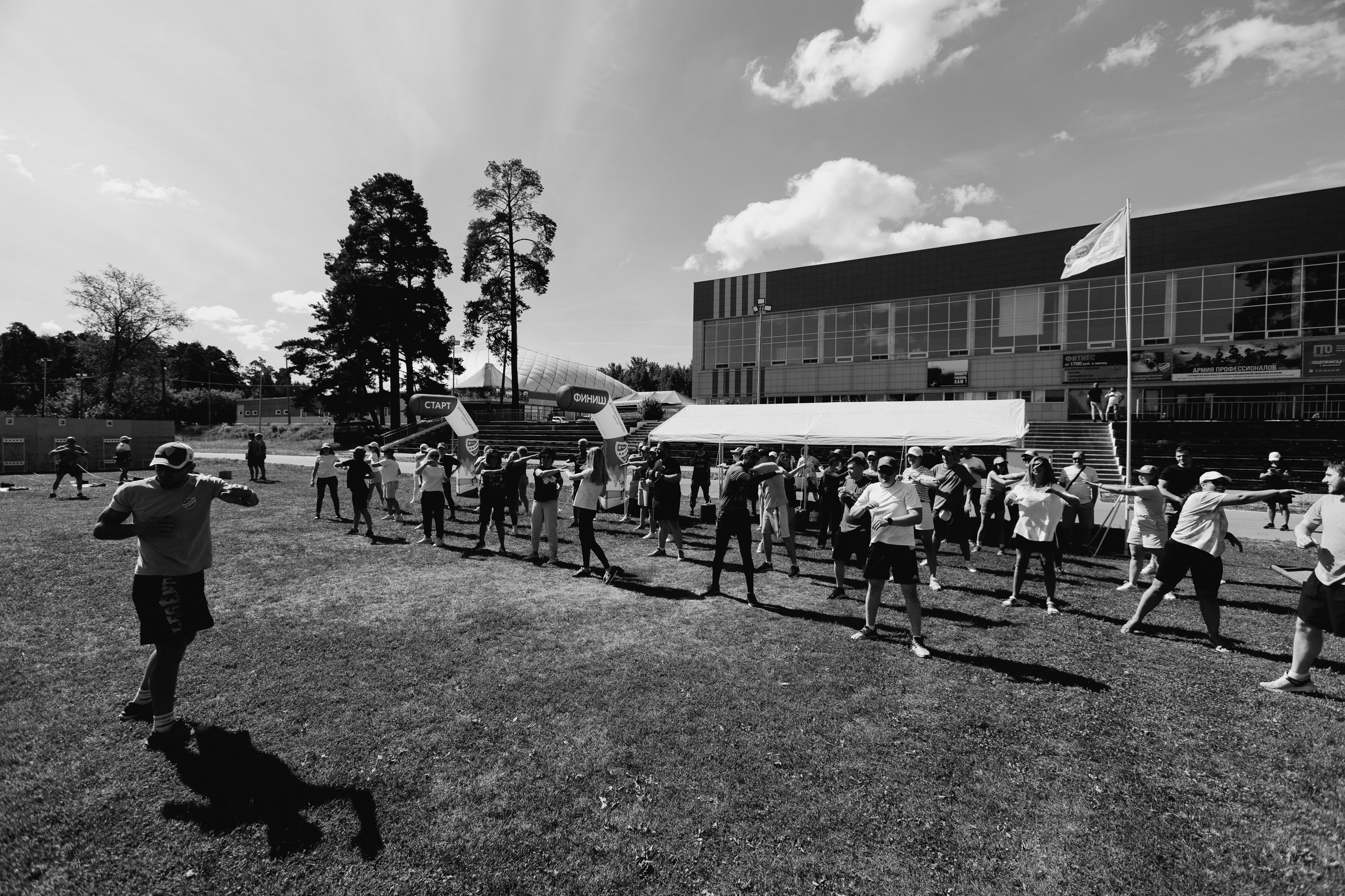 МС груп корпоратив. LEVORIGINAL