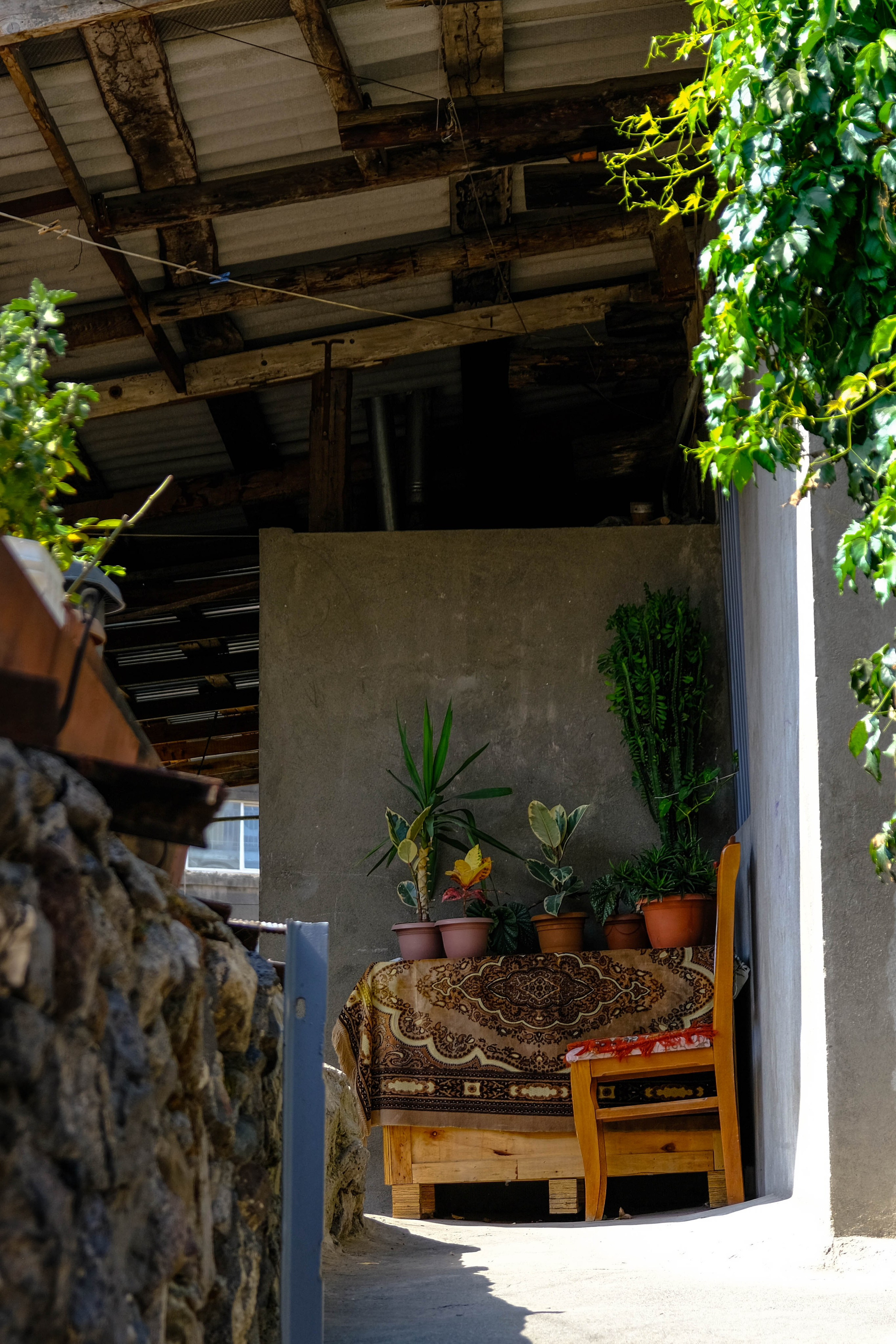 Конд. Фотографии из путешествий