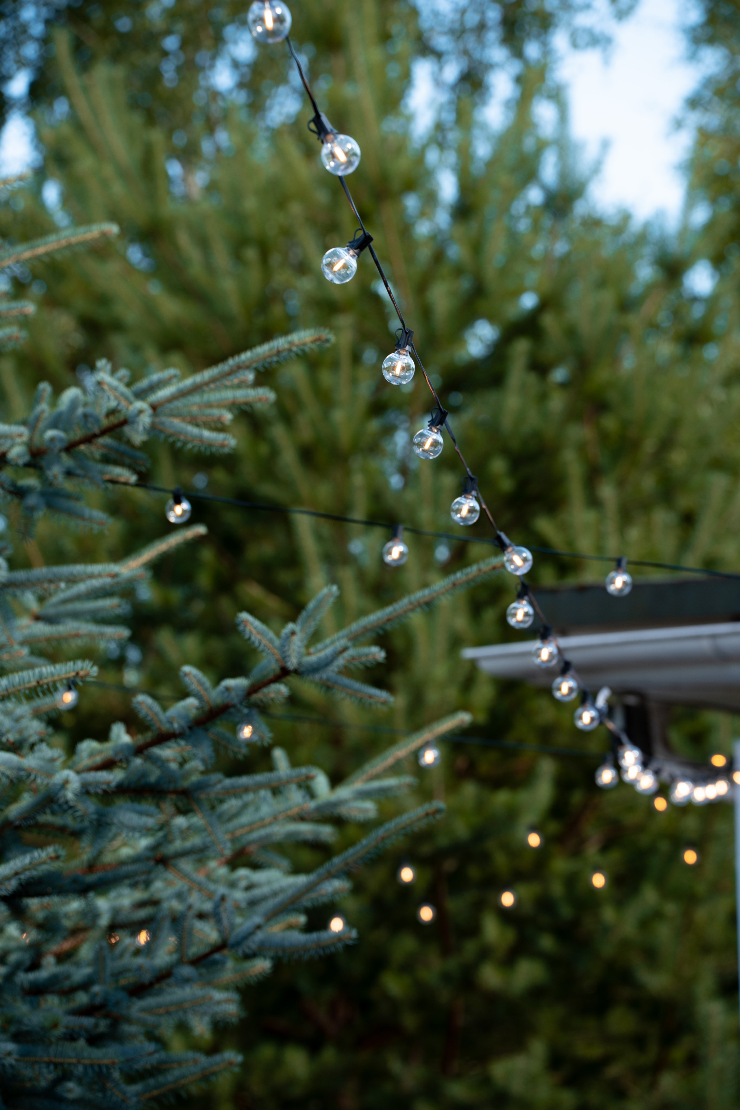 День Рождения за городом. Фотограф в городе Владимир